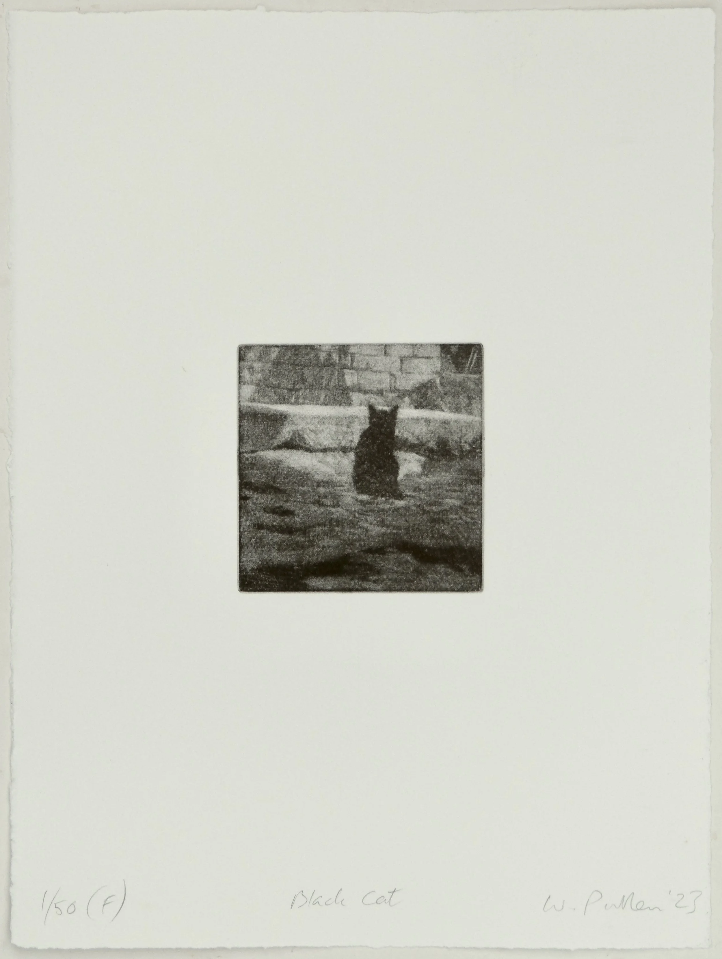 'Black Cat'
  10 x 10 cm, paper size 35 x 25 cm, edition of 50  