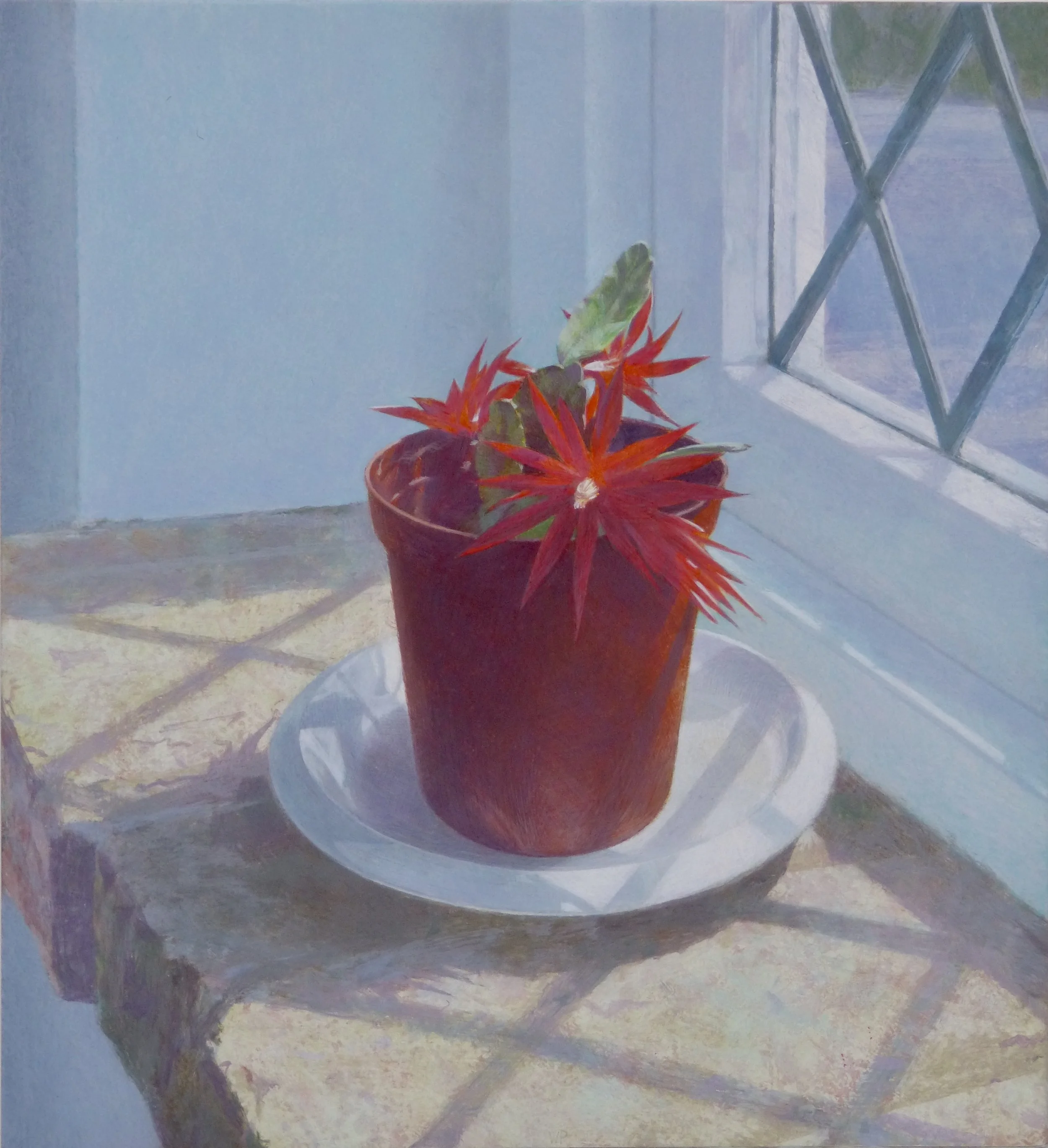 'Cactus Flowers'
  Egg Tempera On Gesso Panel, 2008  
 28 x 26cm (With frame 50 x 47 cm) 
 £925 
