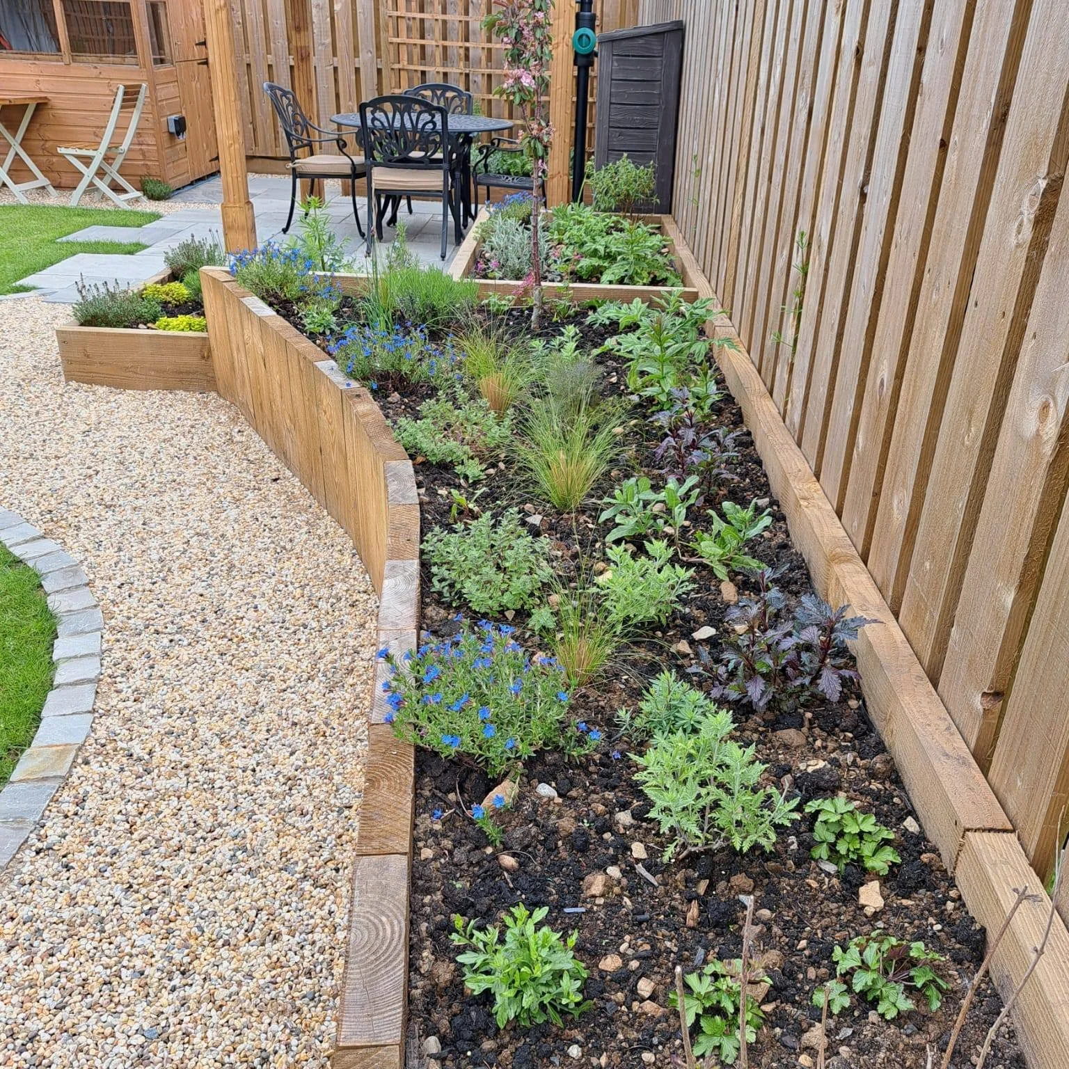 Bringing the design to life.
As the weather warmed up in May, this garden was finally planted, and I've only just got around to sharing a few photos.

It's always remarkable how quickly a garden begins to respond. As soon as the plants arrived, even 