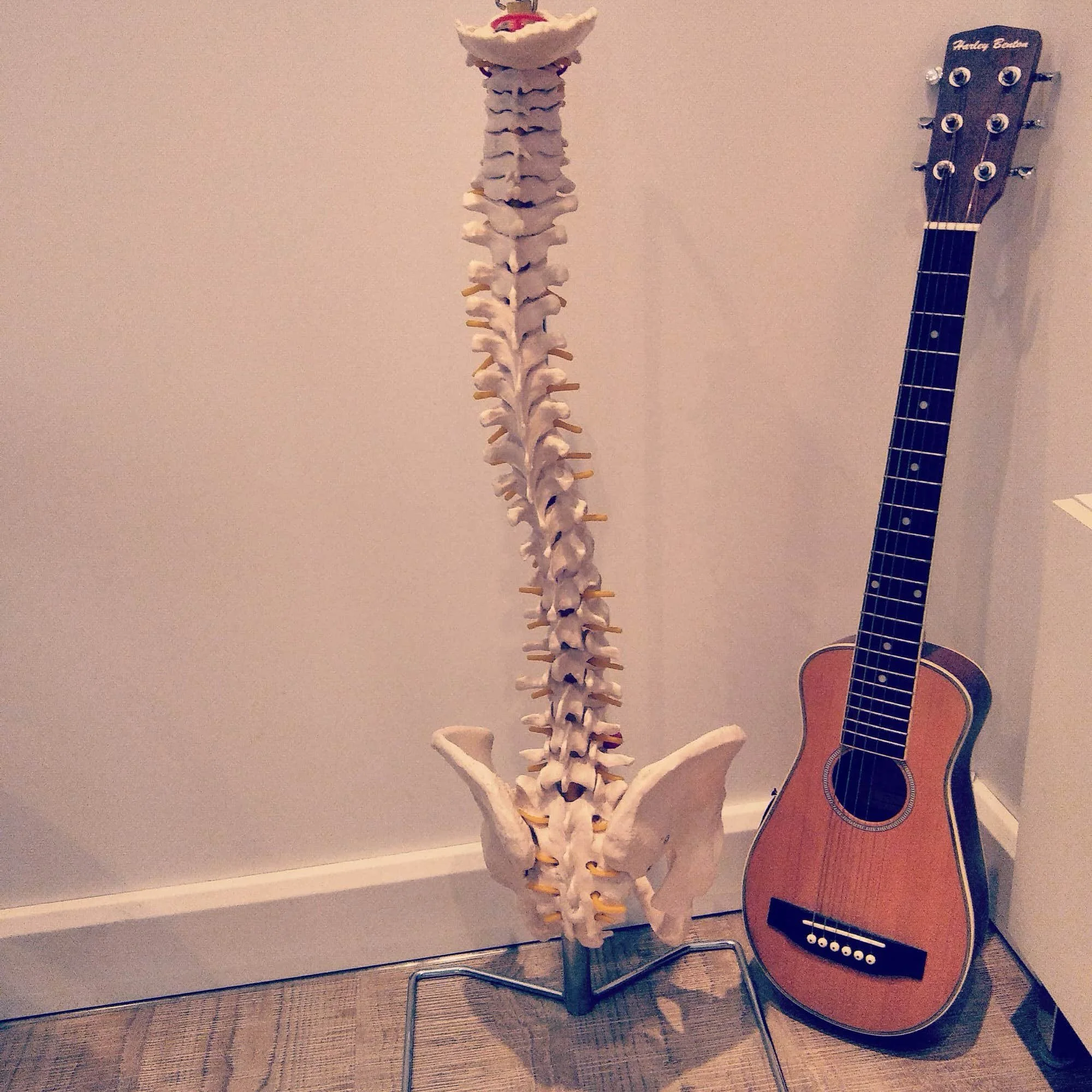 La chiropraxie pour les musiciens