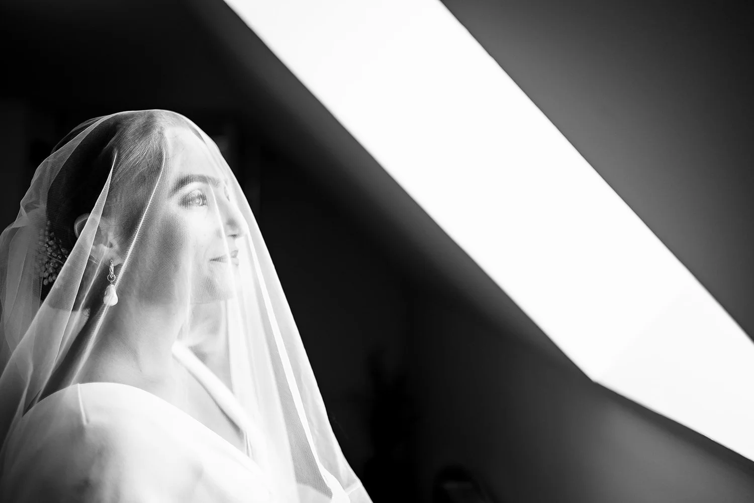 Lavin & Leonardo 2023 — exklusiv editorialt