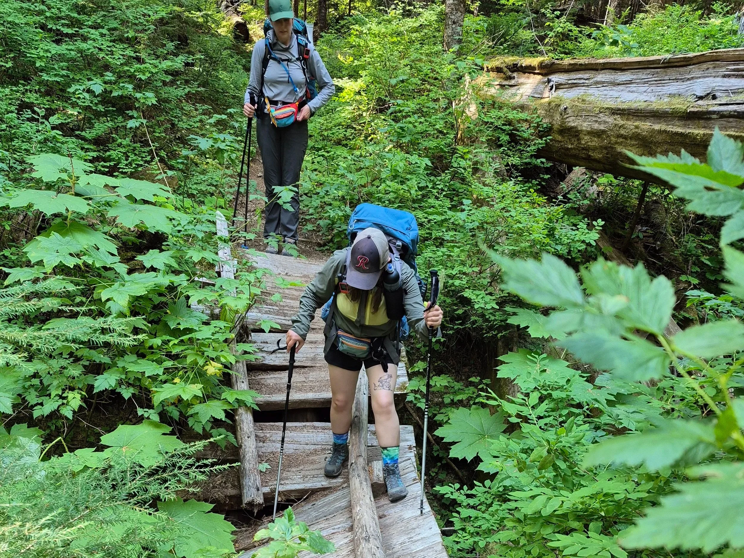 Small steps to get started with AI