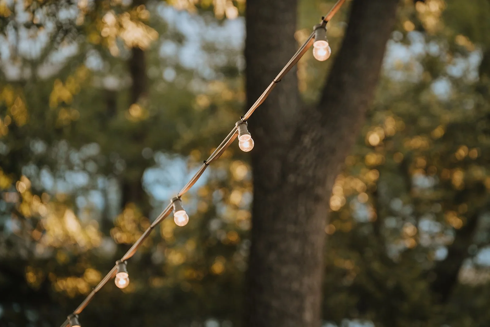 Lichterfunkeln Fotografie_Sommerfest D&M 0341_websize.jpg