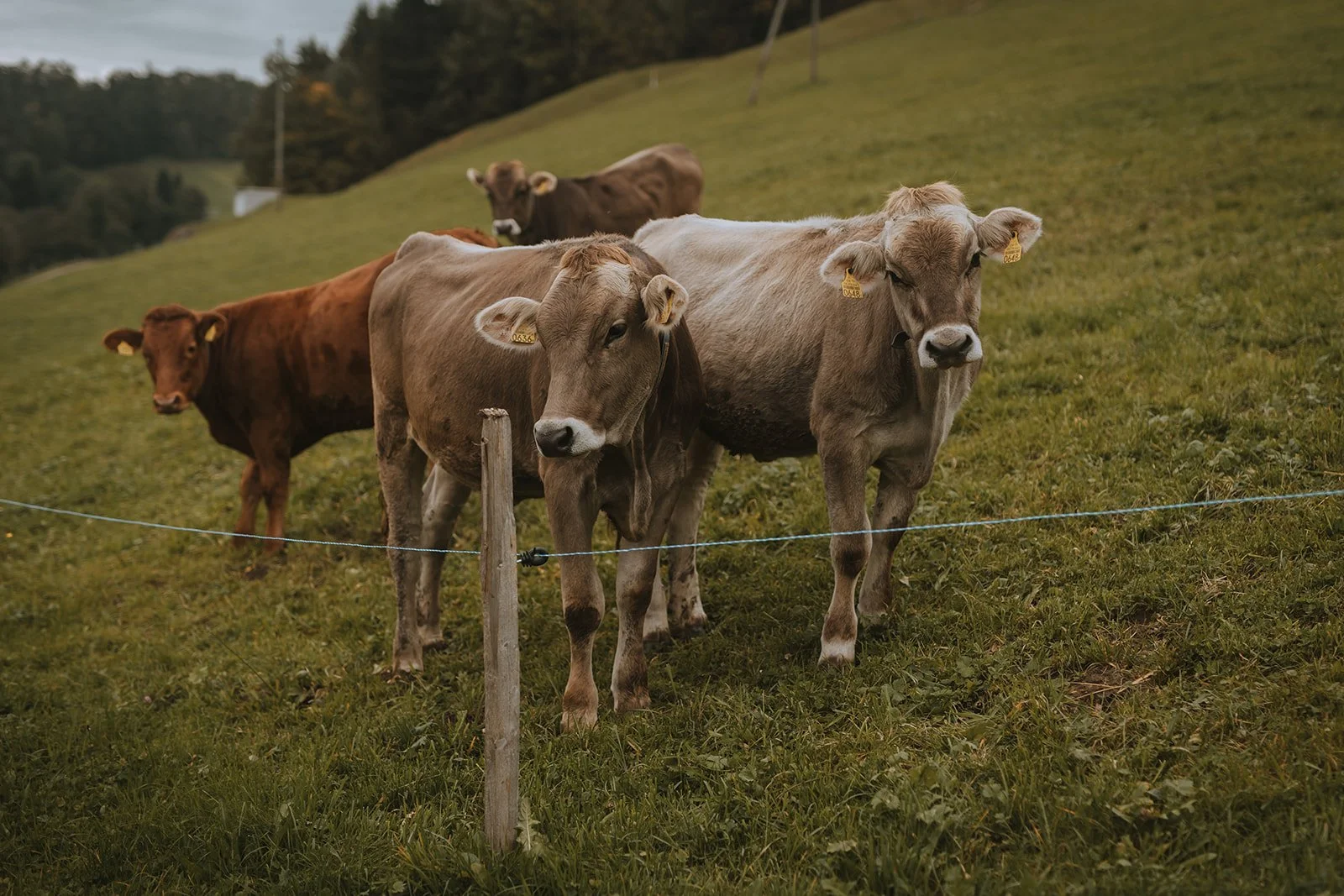 Lichterfunkeln Fotografie_S&F 0112_websize.jpg