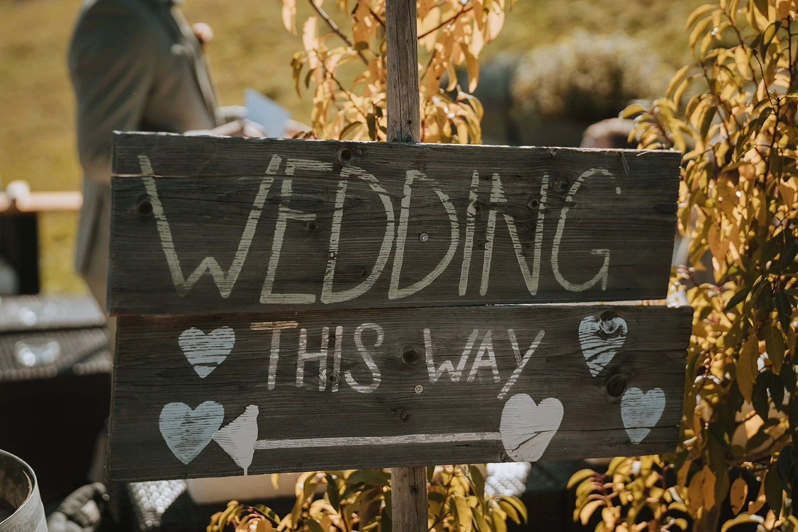 Lichterfunkeln Fotografie_S&F 0248_websize.jpg