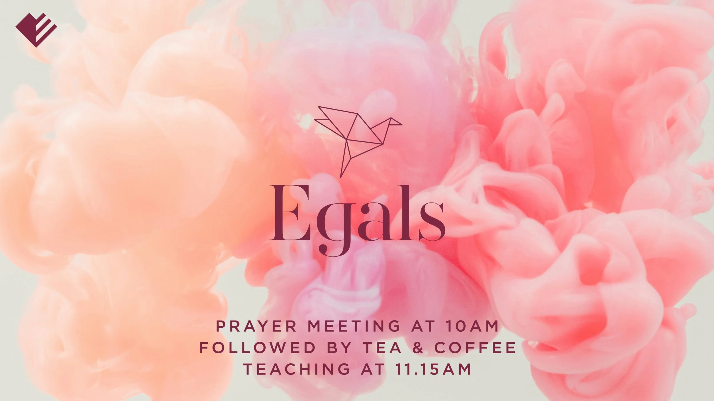 Egals is back for 2026! Tuesday 13th January.