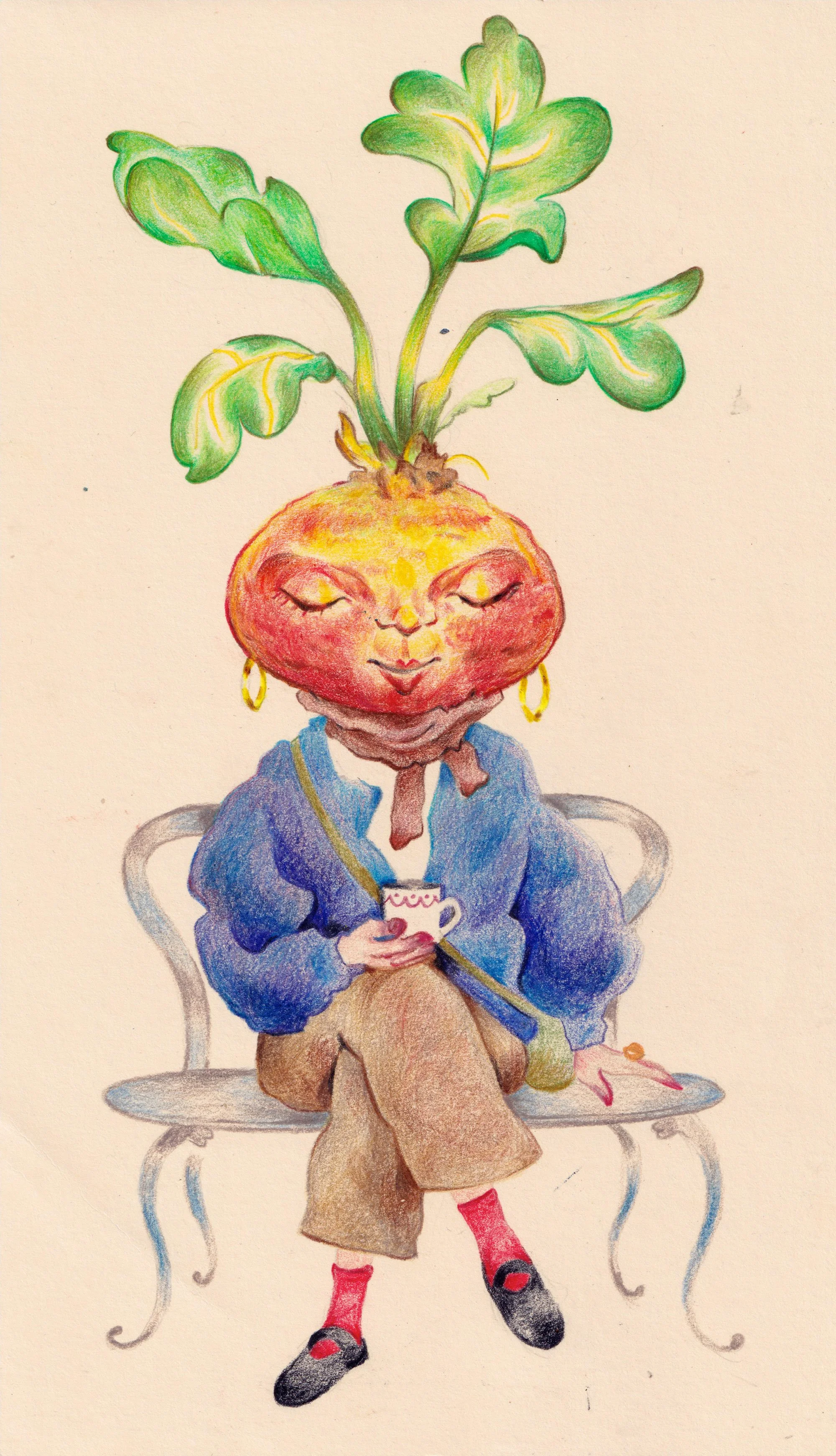 illus-betroot.jpg