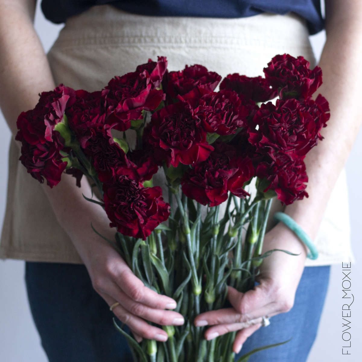 Burg Carnations.jpg