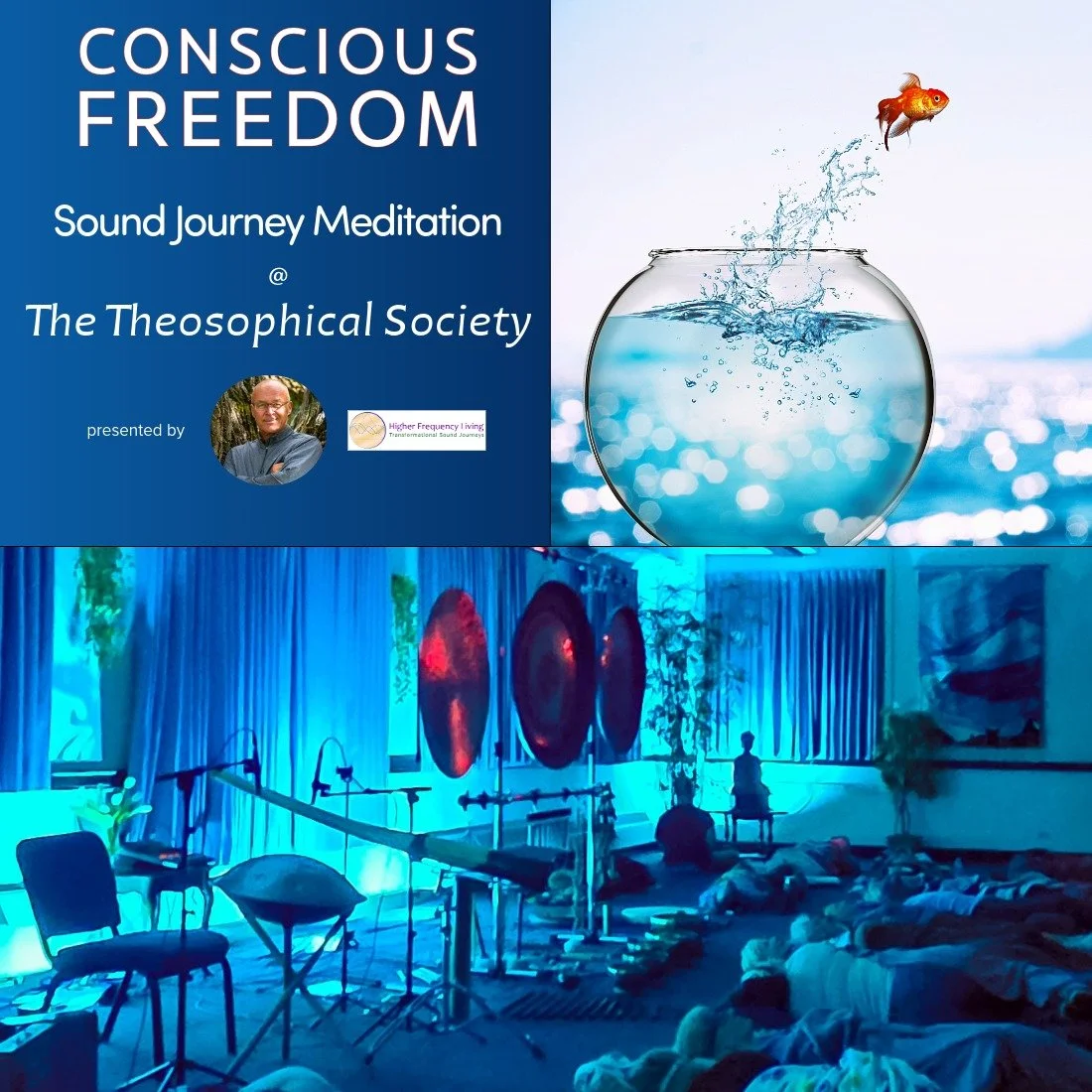Conscious Freedom | Sound Bath Journey at the Theosophical Society in Wheaton, IL