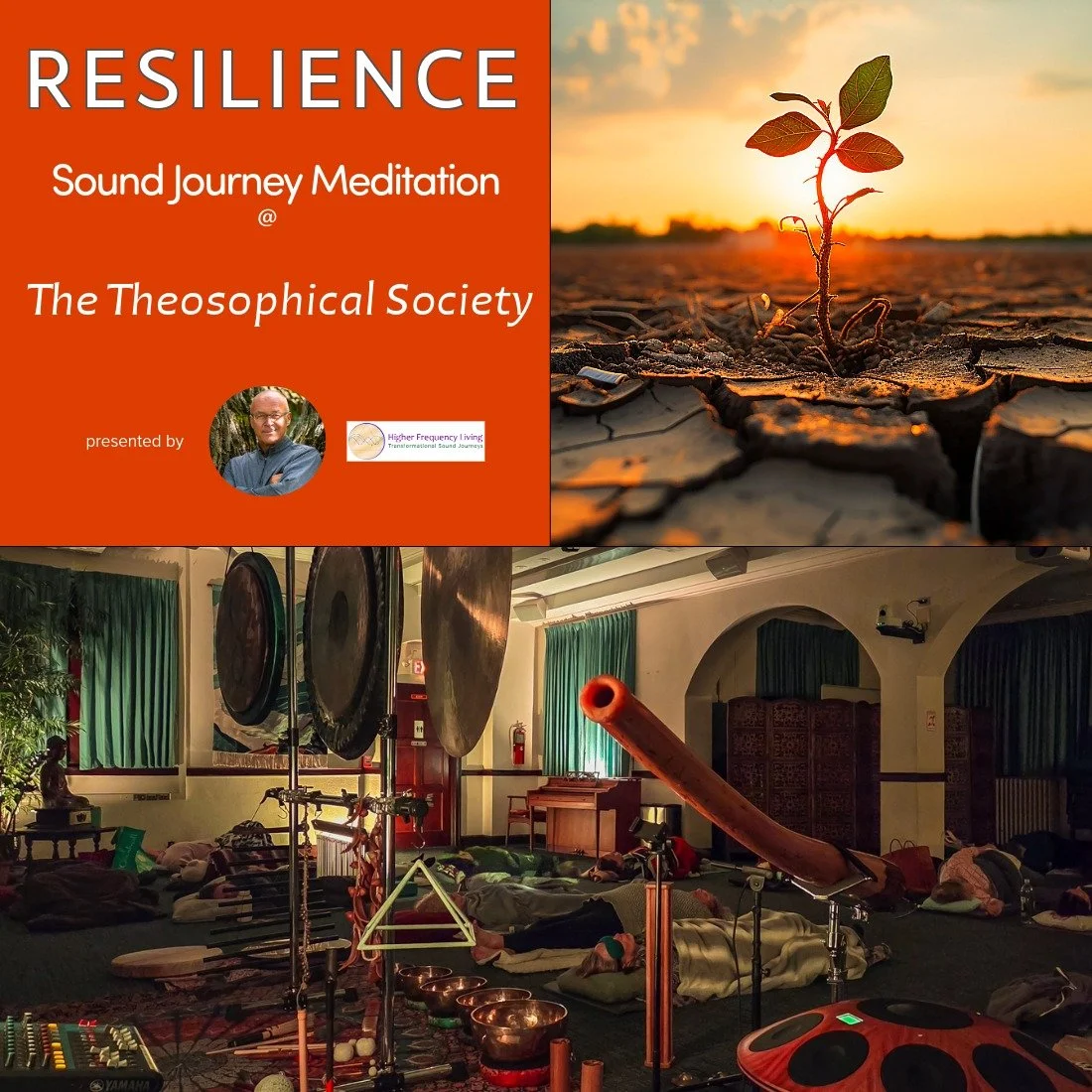 Resilience | Sound Bath on 2/20/26 at the Theosophical Society in Wheaton, IL