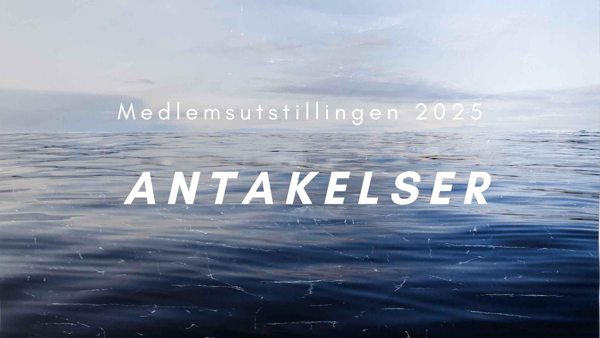 Medlemsutstillingen 2025  ANTAKELSER