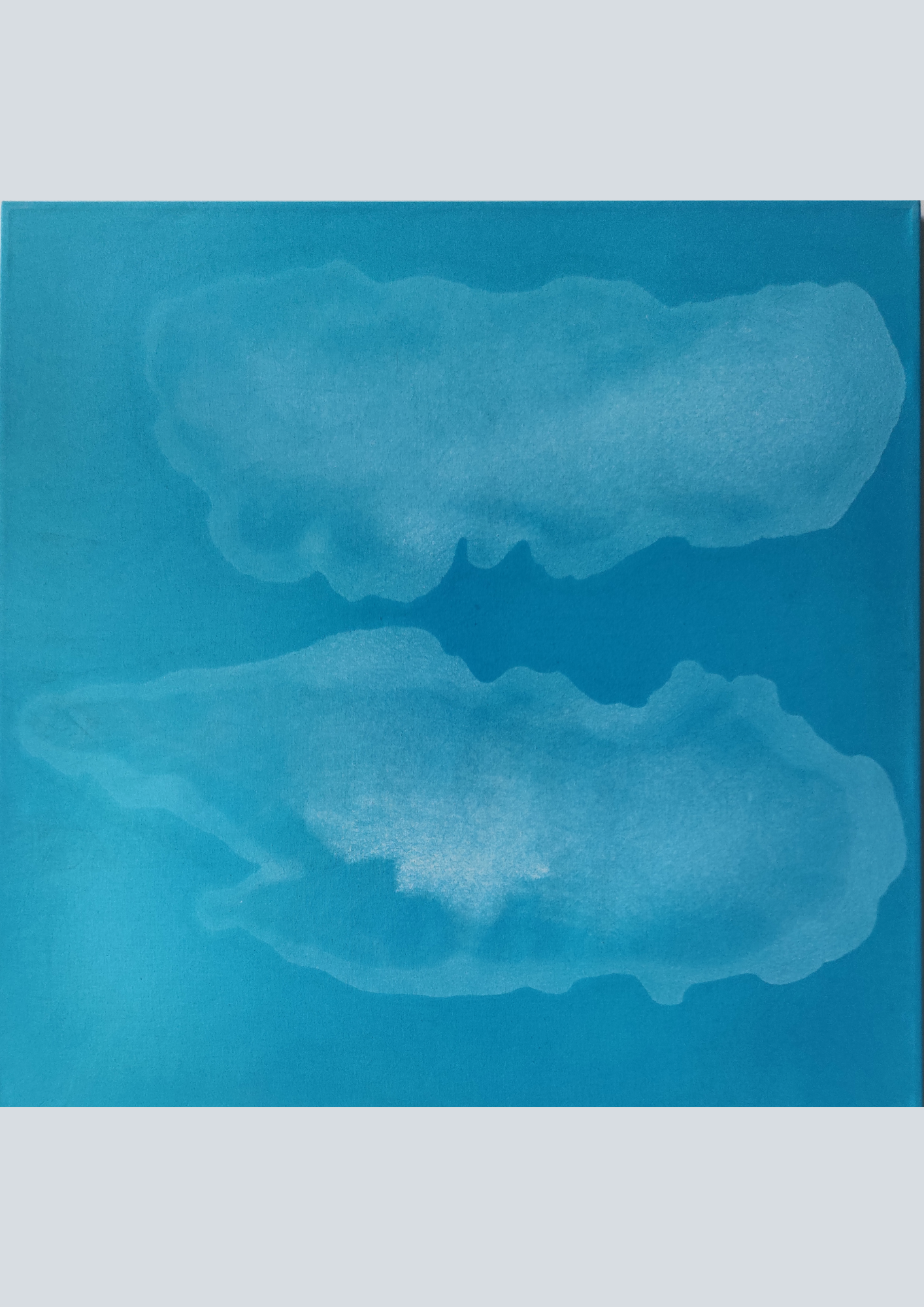 Vigdis Hareide Blå flyter 4 .png