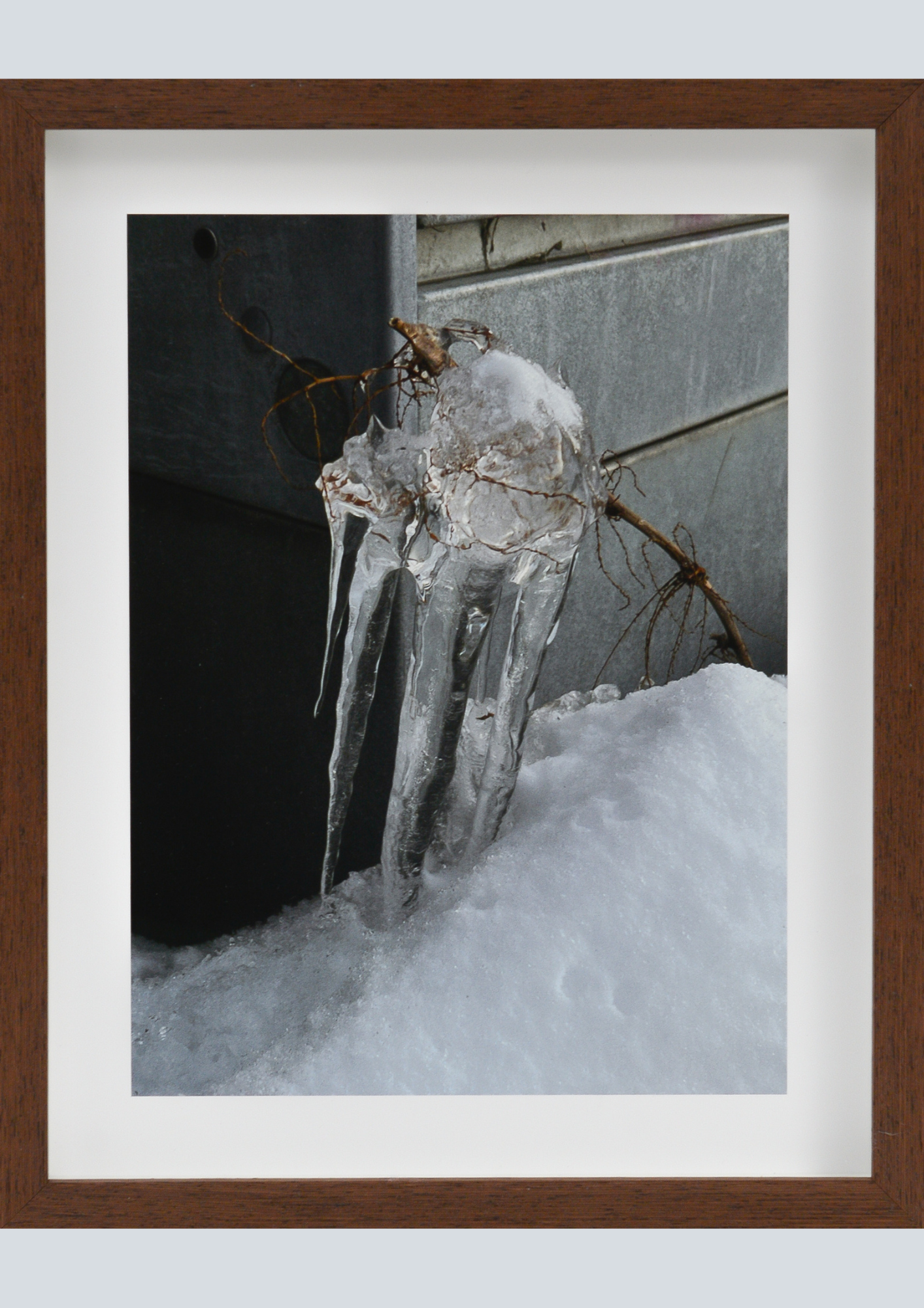 Tonje Li, Talisman.png