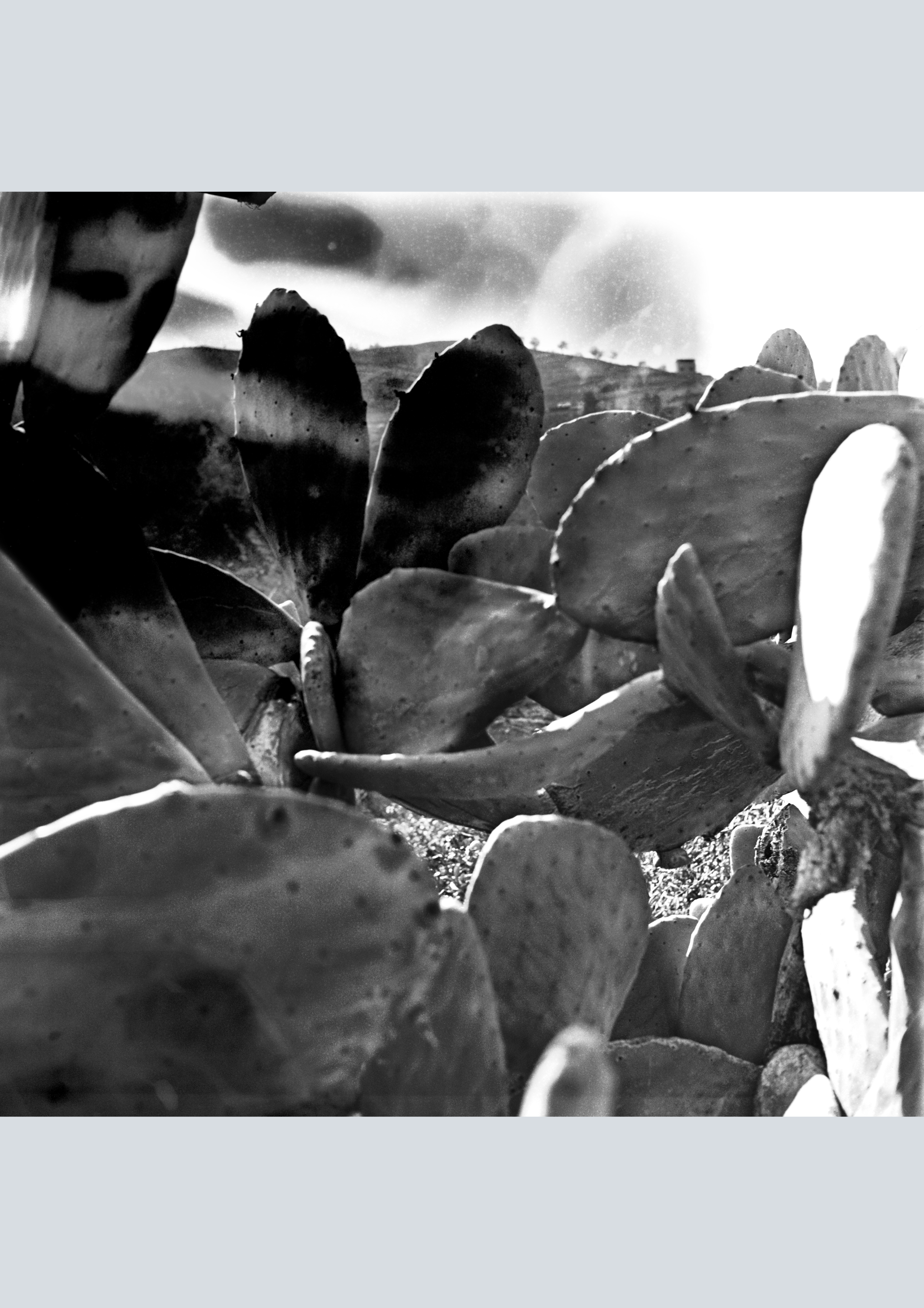 Nora Adwan: Fotografi