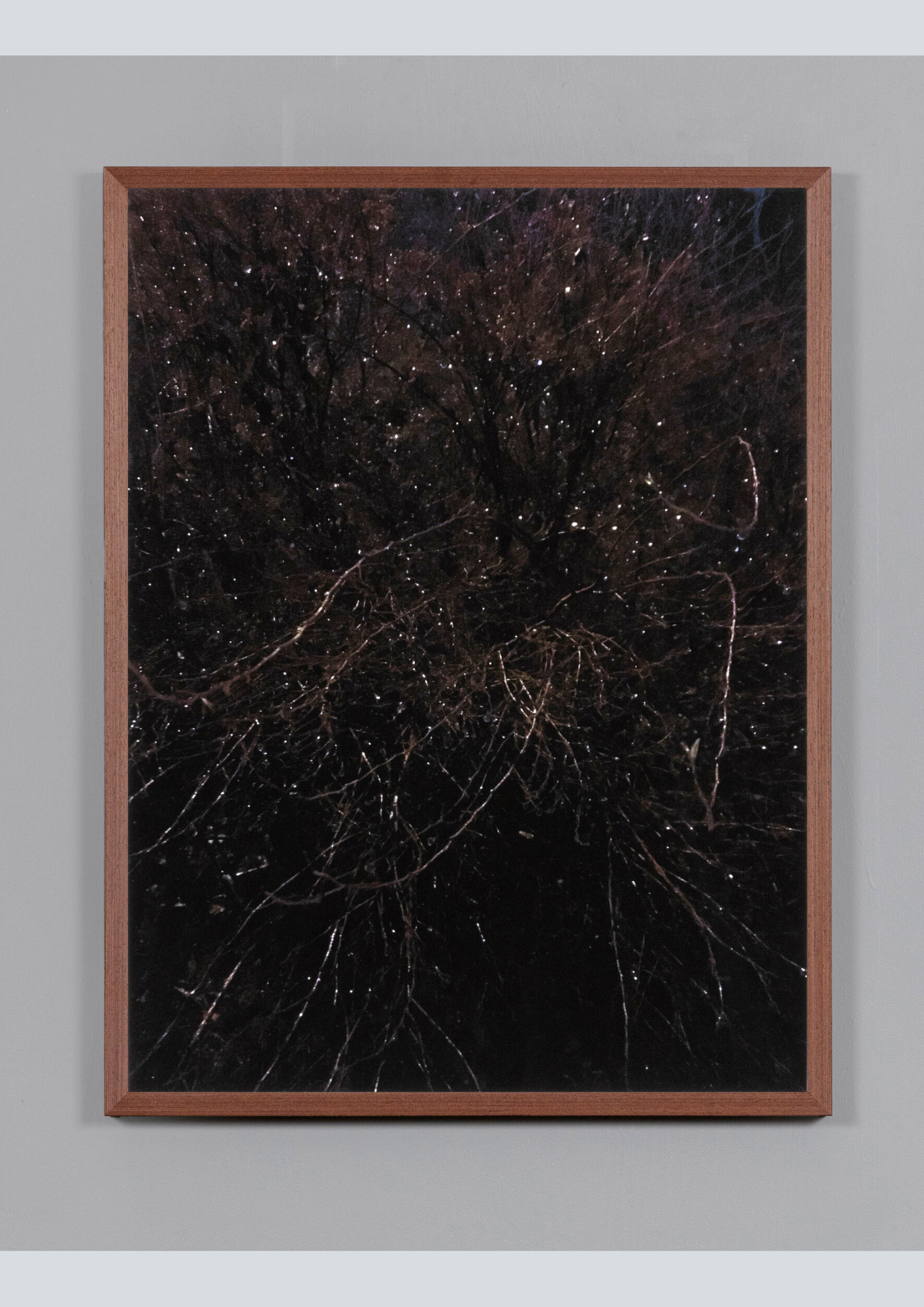 Tonje Li, Stirre tilbake.png