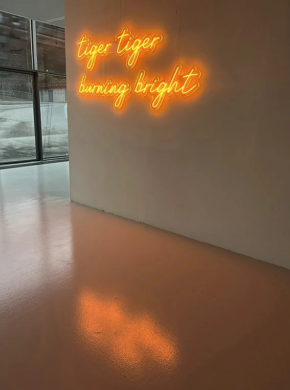 Foto fra installasjonen "Tiger tiger burning bright", Visningsrommet 2024
