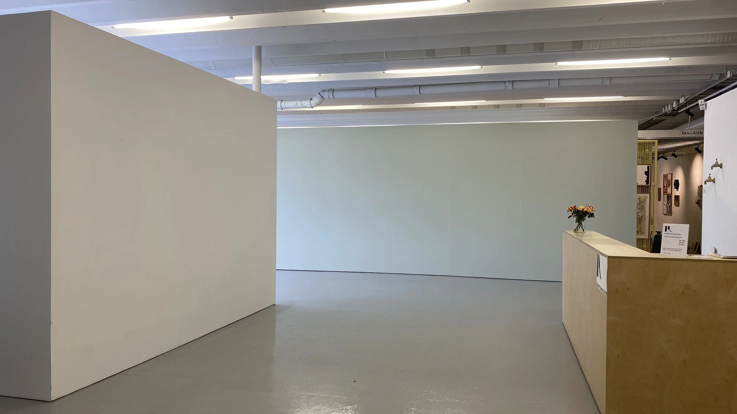 Resepsjon/inngang mot ytre sal/sikt inn til magasin