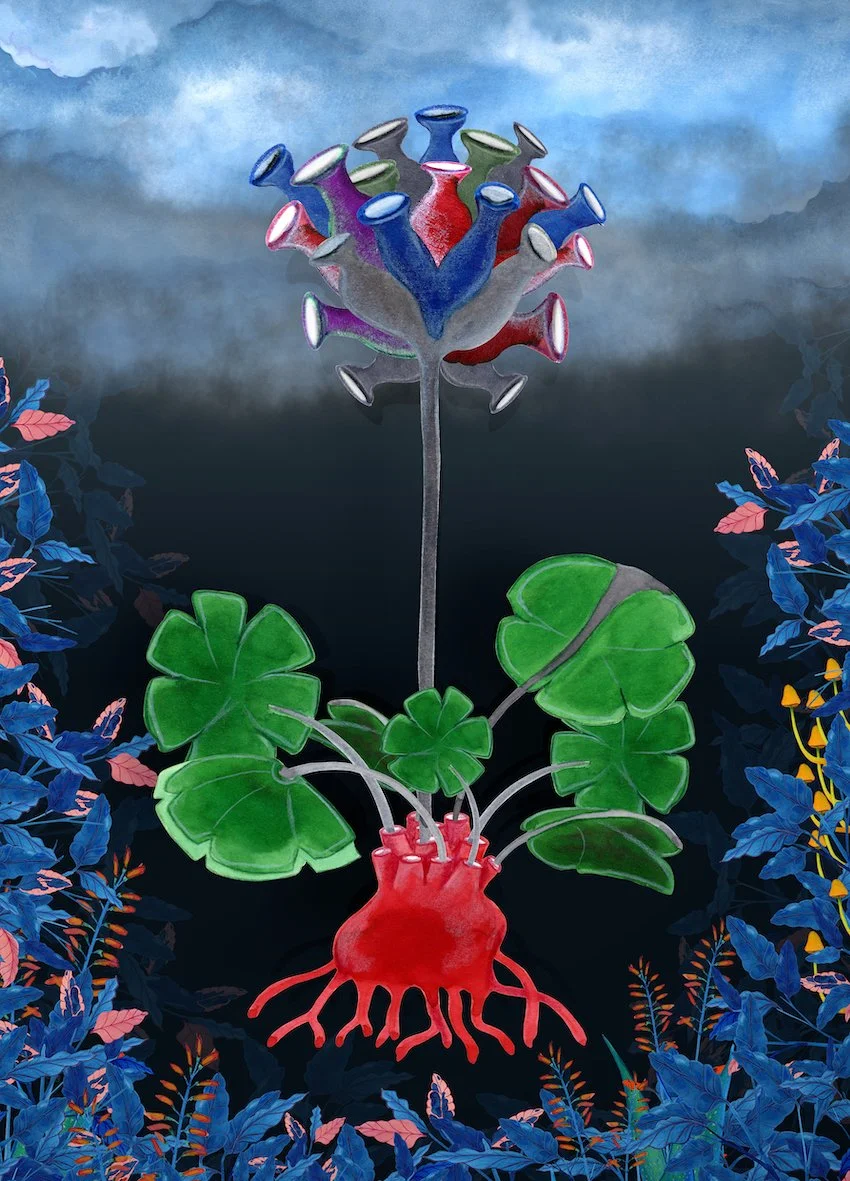 Simone Hooymans: Tegning