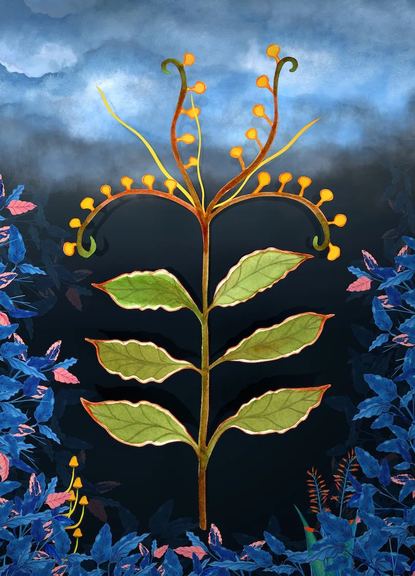 Simone Hooymans: Tegning