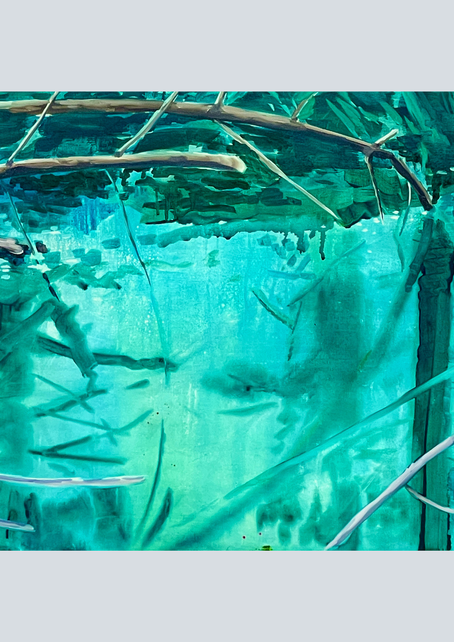 Judy Sirks Vevle: Maleri