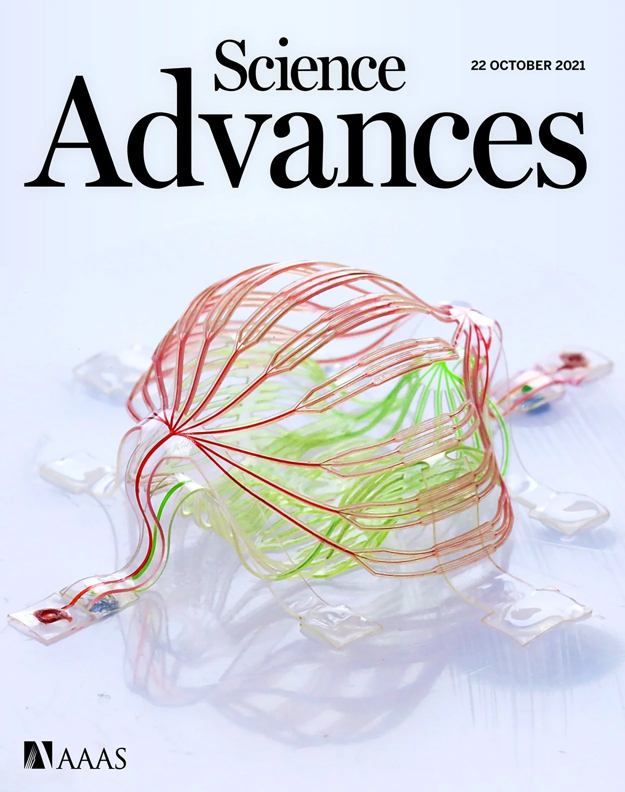 Albouy P, Martinez-Moreno ZE, Hoyer RS, Zatorre RJ, Baillet S. Supramodality of neural entrainment: Rhythmic visual stimulation causally enhances auditory working memory performance. Sci Adv. 2022 Feb 25;8(8):eabj9782. doi: 10.1126/sciadv.abj9782. Ep