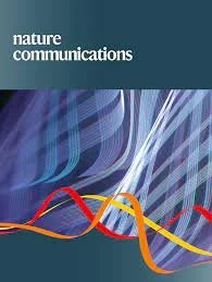 A thalamocortical pathway for fast rerouting of tactile information to occipital cortex in congenital blindness