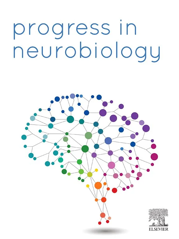 Adverse and compensatory neurophysiological slowing in Parkinson’s disease