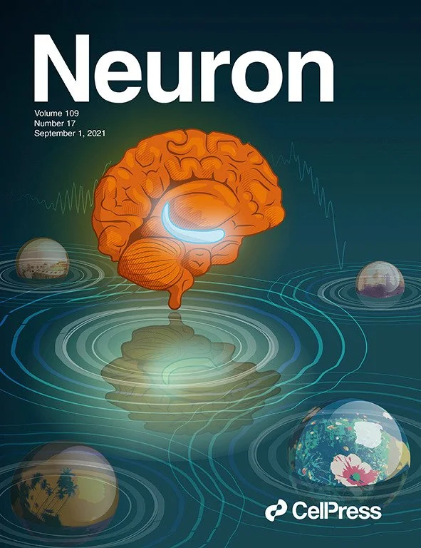 Albouy P, Weiss A, Baillet S, Zatorre RJ. Selective Entrainment of Theta Oscillations in the Dorsal Stream Causally Enhances Auditory Working Memory Performance. Neuron. 2017 Apr 5;94(1):193-206.e5. doi: 10.1016/j.neuron.2017.03.015. Epub 2017 Mar 23