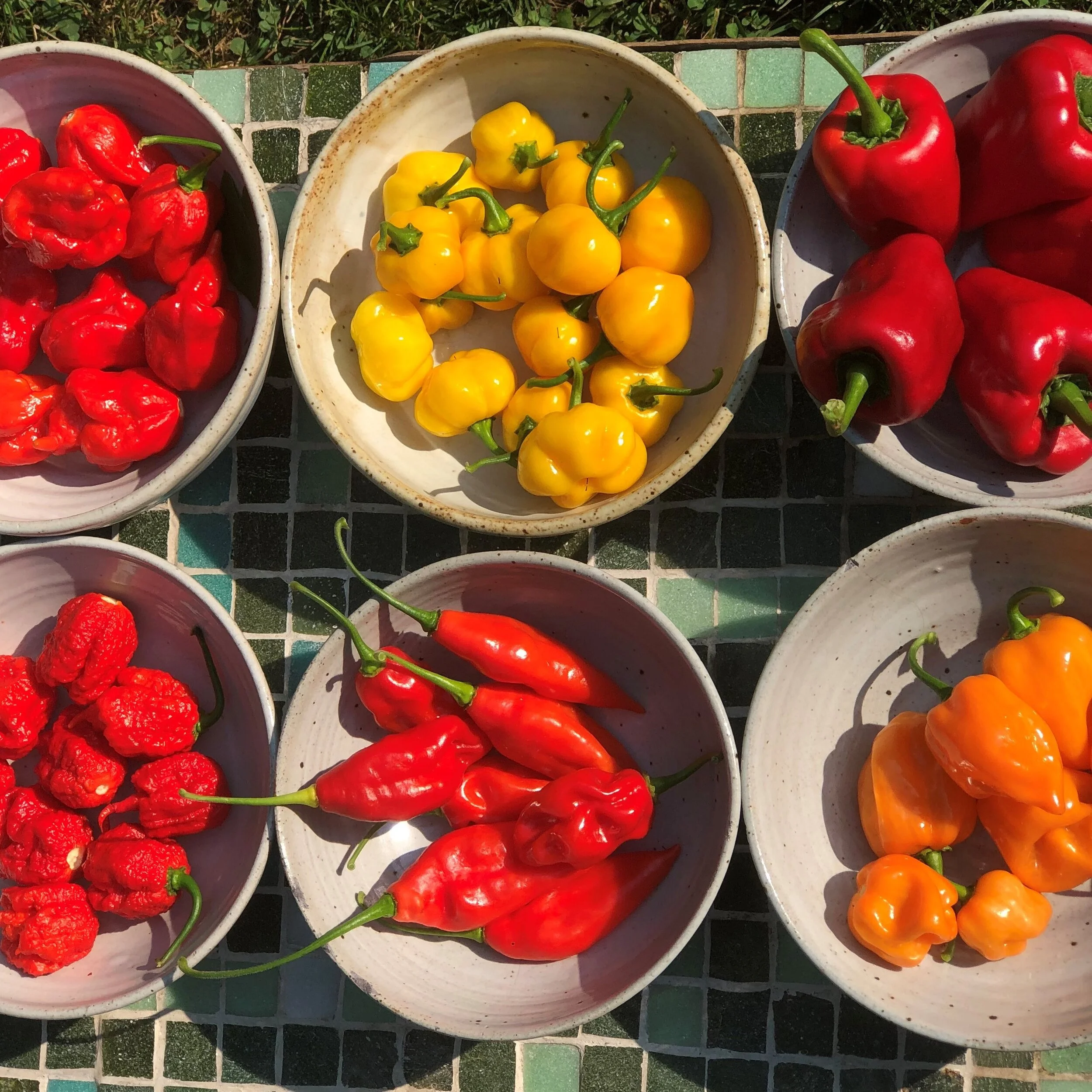 peppers square.jpg