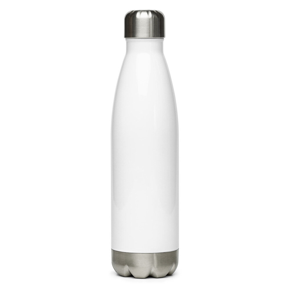 Big Sur Stainless Steel Water Bottle —