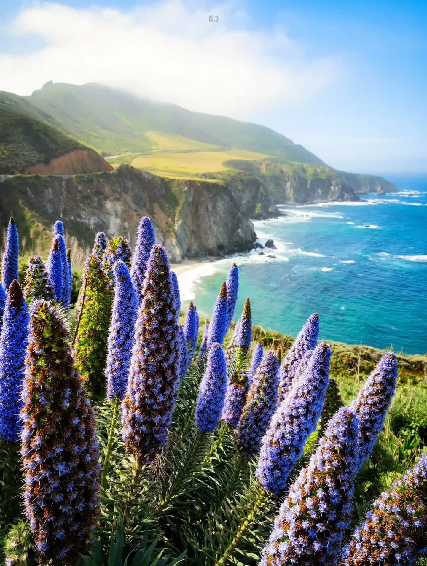 Big Sur, California 
📸: @_crescentphotography 
.
.
.
.
#bigsur #bigsurcalifornia #bigsurcali #bigsurca #california #goldenstate #highway1 #outdoors #travel #explore #centralcoast #bigsurcoast #bigsurphotographer #monterey #californiadreaming #ocean 