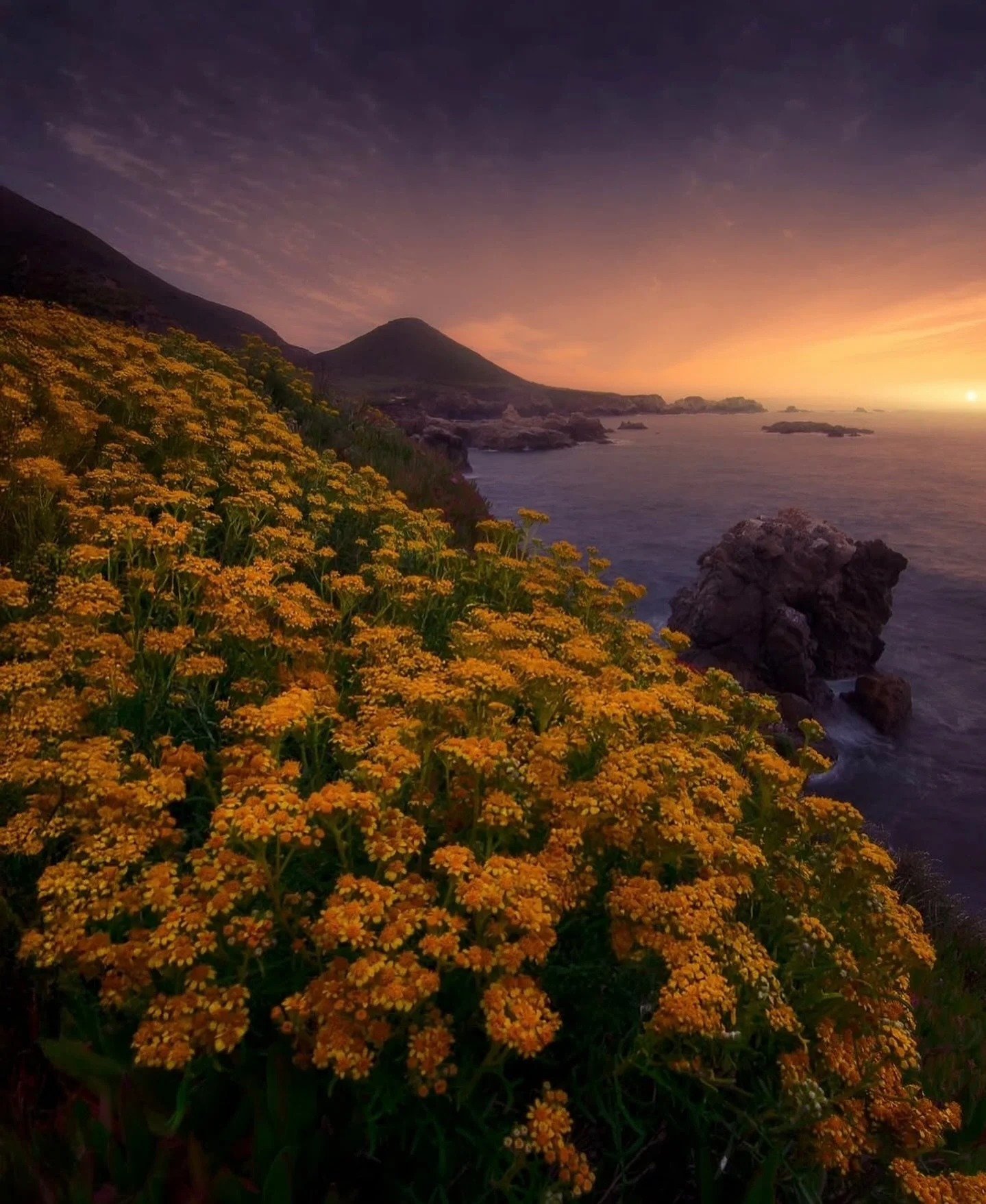 Big Sur isn&rsquo;t just a place, it&rsquo;s a feeling. Can you feel it?

📸: @831gaberodriguez 
.
.
.
.
#bigsur #bigsurcalifornia #bigsurcali #bigsurca #california #goldenstate #highway1 #outdoors #travel #explore #centralcoast #bigsurcoast #bigsurp