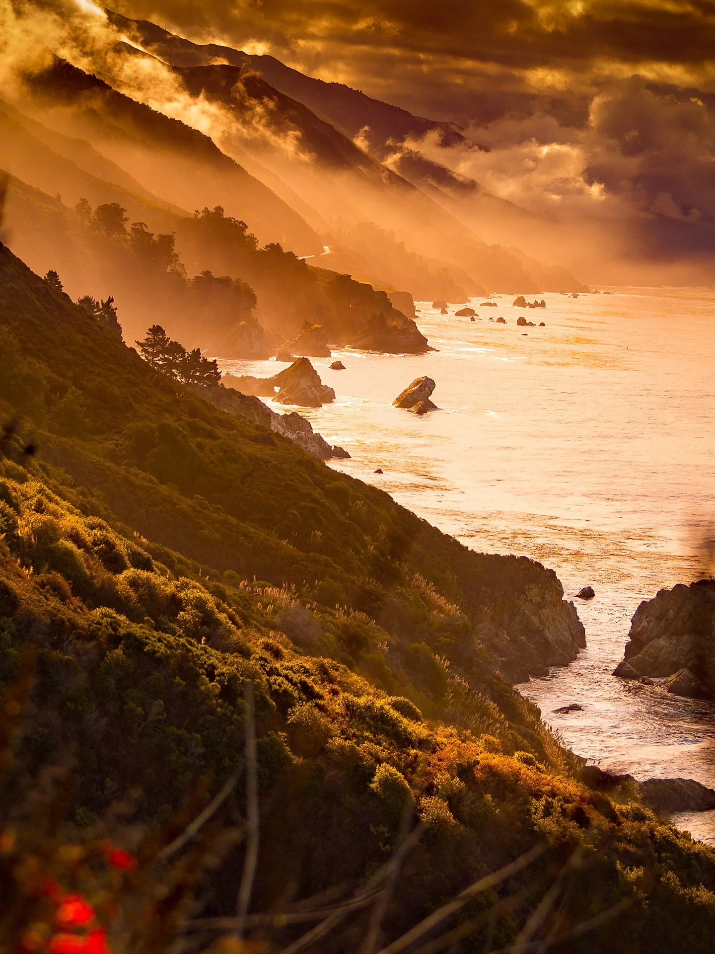 Step into Fall 🍁 Big Sur with help from @platterfantasy and @sf_floralfantasy 

For your next event follow @platterfantasy and @sf_floralfantasy to create the most magical Big Sur party, get together or wedding!

We are giving away a $100 Big Sur gi