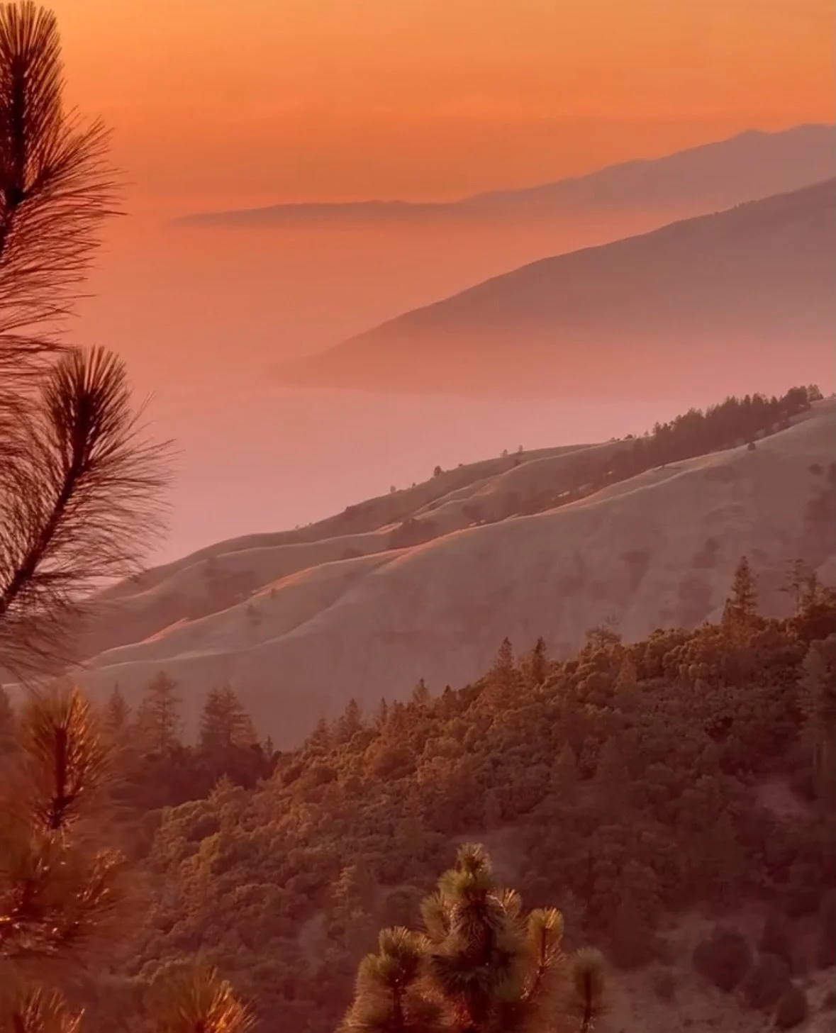 Loving the fall weather from Big Sur 🍂
📸: @lainyexplorin 
.
.
.
.
#bigsur #bigsurcalifornia #bigsurcali #bigsurca #california #goldenstate #highway1 #outdoors #travel #explore #centralcoast #bigsurcoast #bigsurphotographer #monterey #californiadre