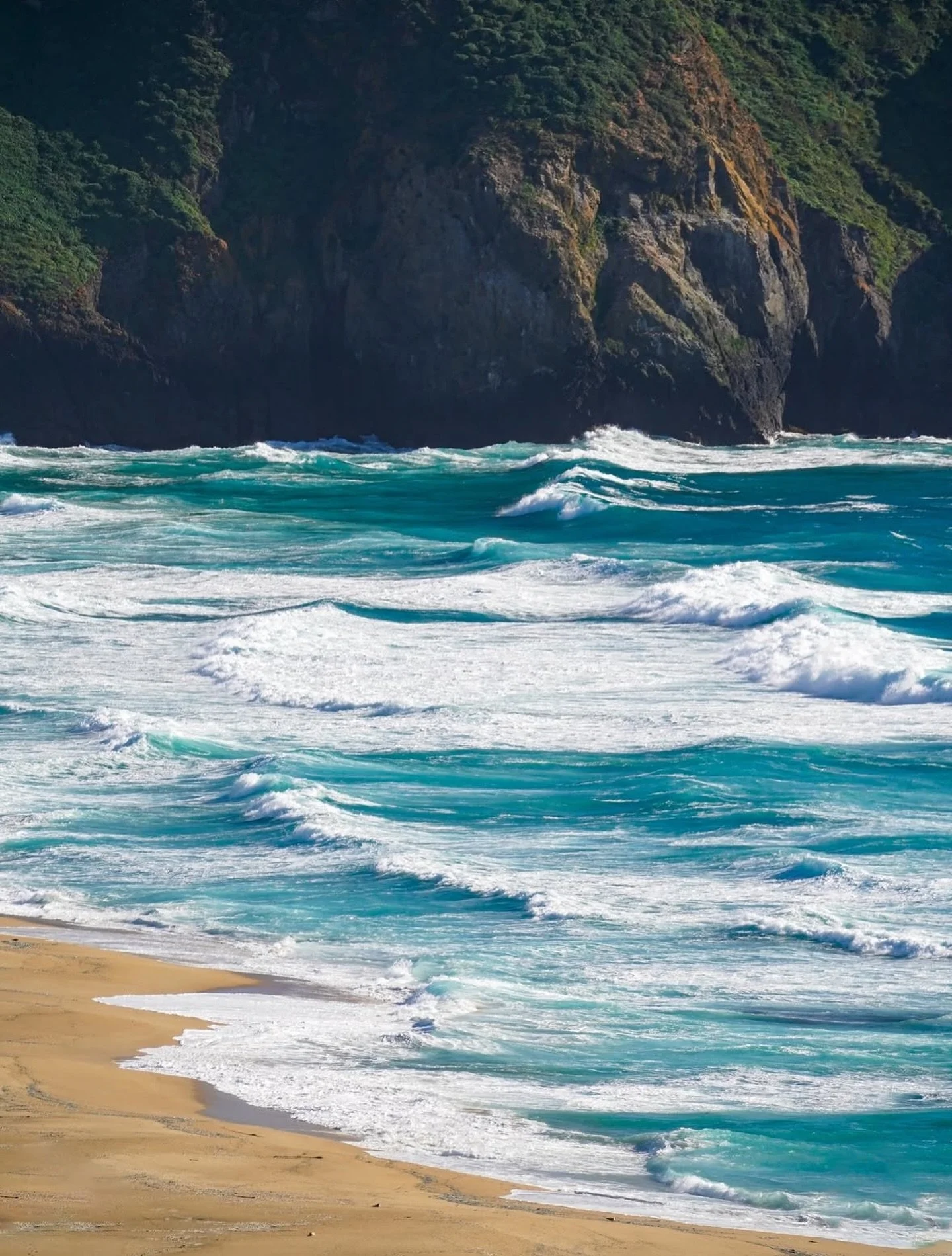 Big Sur, California
📸: @ricci.captures 
.
.
.
.
#bigsur #bigsurcalifornia #bigsurcali #bigsurca #california #goldenstate #highway1 #outdoors #travel #explore #centralcoast #bigsurcoast #bigsurphotographer #monterey #californiadreaming #ocean #beach 