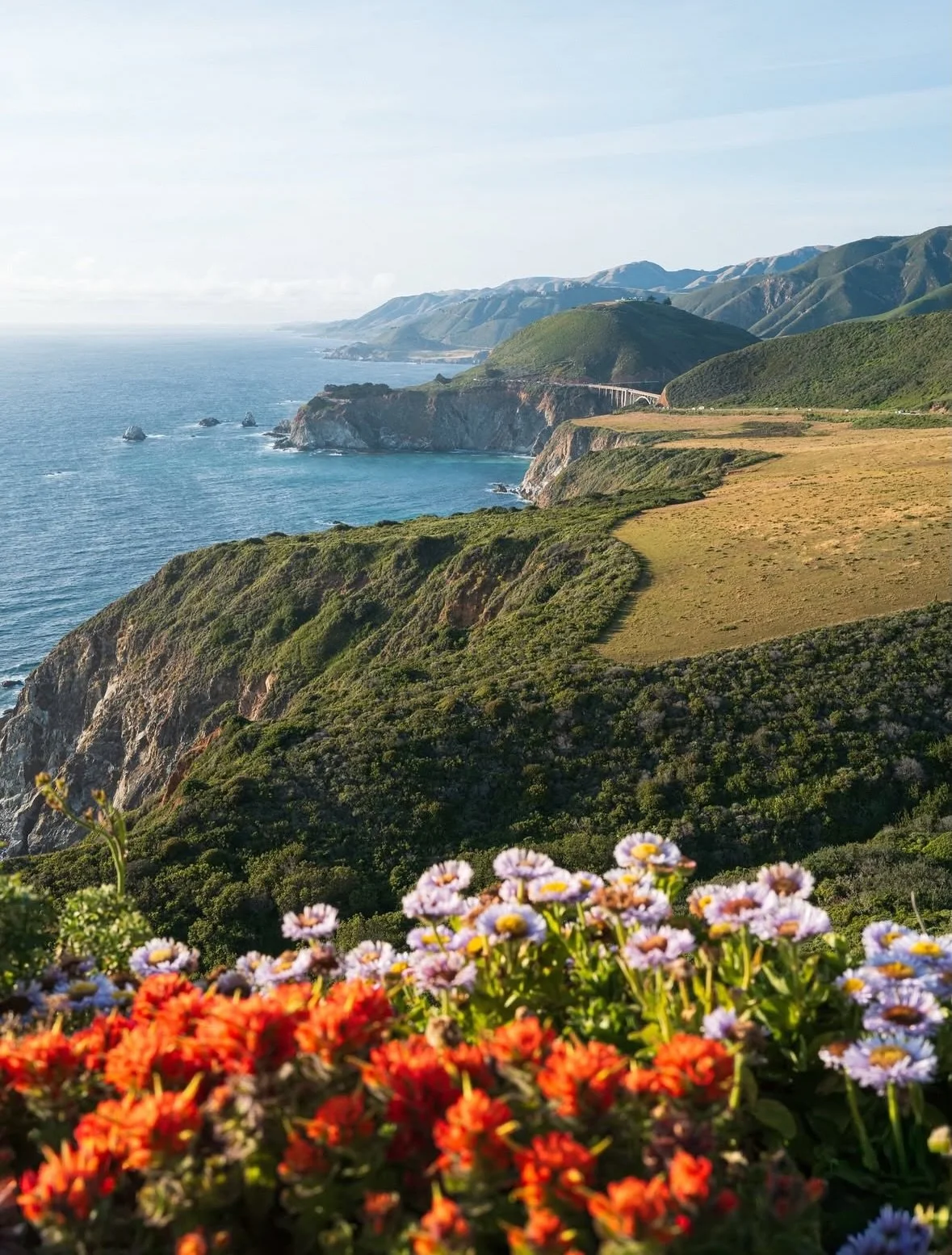 Big Sur, California
📸: @ryancortiz 
.
.
.
.
#bigsur #bigsurcalifornia #bigsurcali