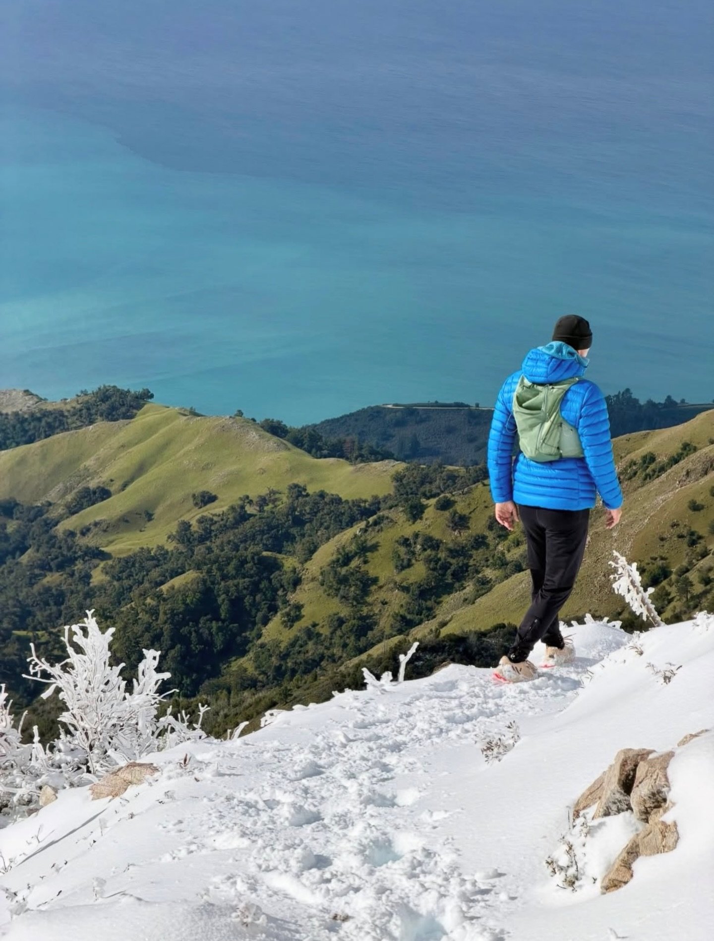 Big Sur Snow ❄️ 

📸 @pantilat 

#bigsur #bigsurcalifornia #bigsursnow
