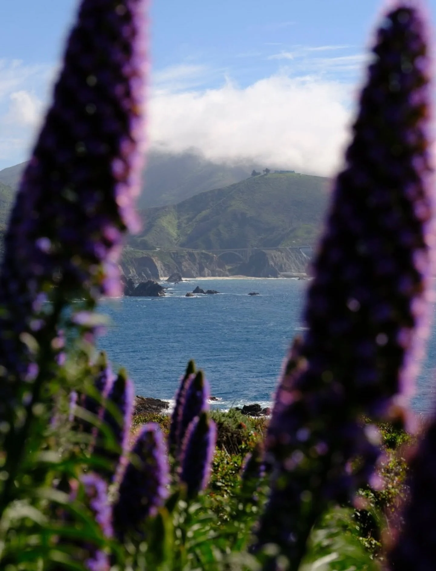 Big Sur, California 

📸 @dgsc 

#bigsur #bigsurcalifornia #bigsurcali