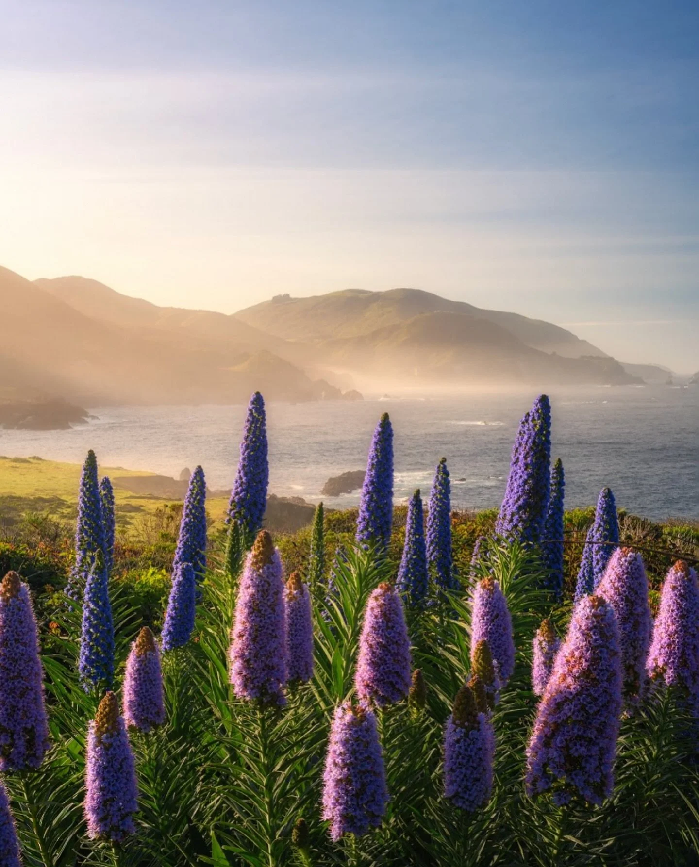 Happy Easter Big Sur 

📸 @cookdog77 

#bigsur #bigsurcalifornia #bigsurcali