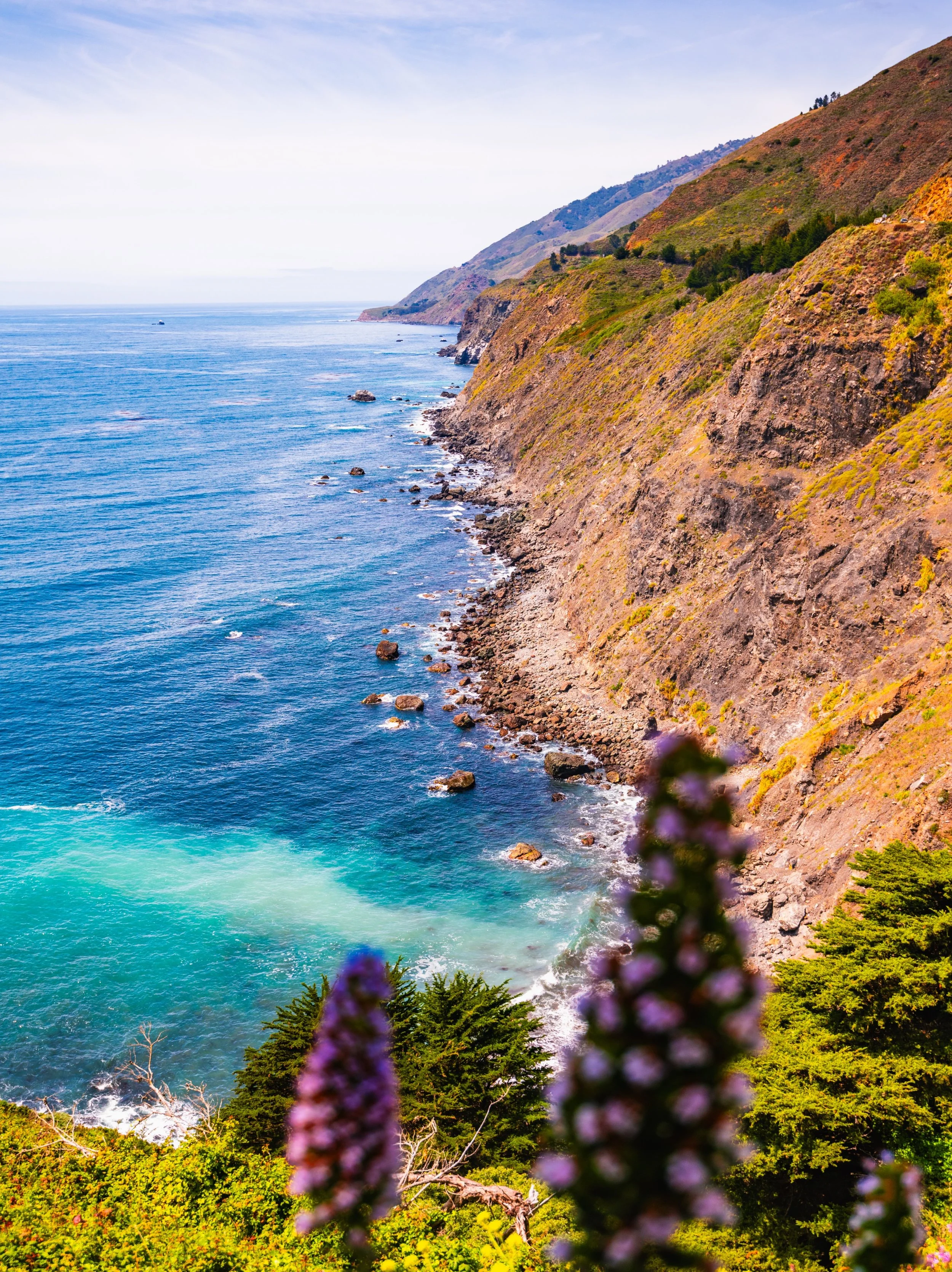What an amazing day celebrating the reopening of Pacific Coast Highway! The Gateway to Big Sur Festival was such a huge success. Bringing the community and friends together! @raggedpointinn did a wonderful job hosting all these Big Sur lovers. Thank 