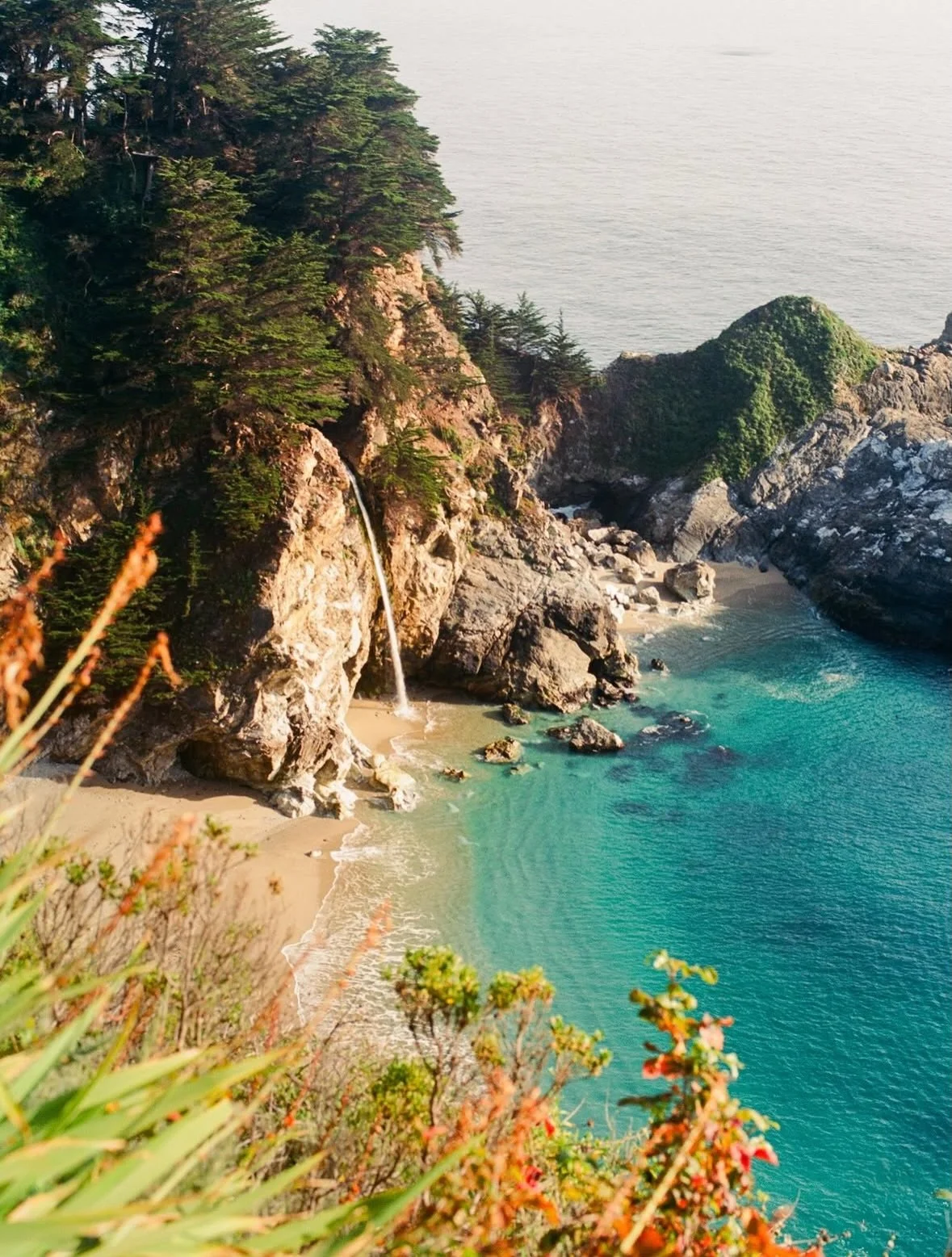 Here is your sign to come enjoy Big Sur in the spring 🌼 

📸 @filmpotato_ 

#bigsur #bigsurcalifornia #bigsurcali