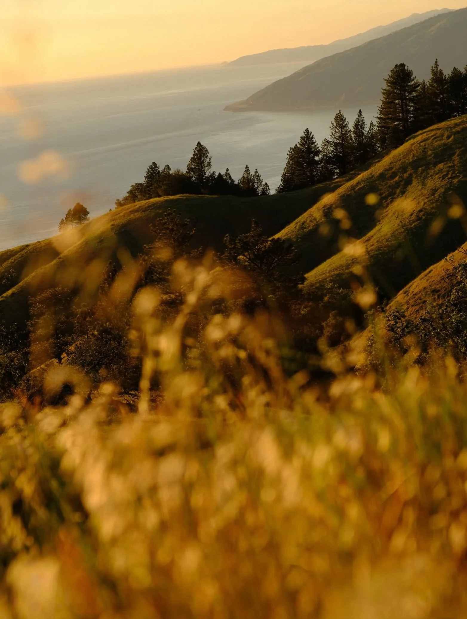 Golden light on the Big Sur coast 🌅 

📸 @dgsc 

#bigsur #bigsurcali #bigsurcalifornia