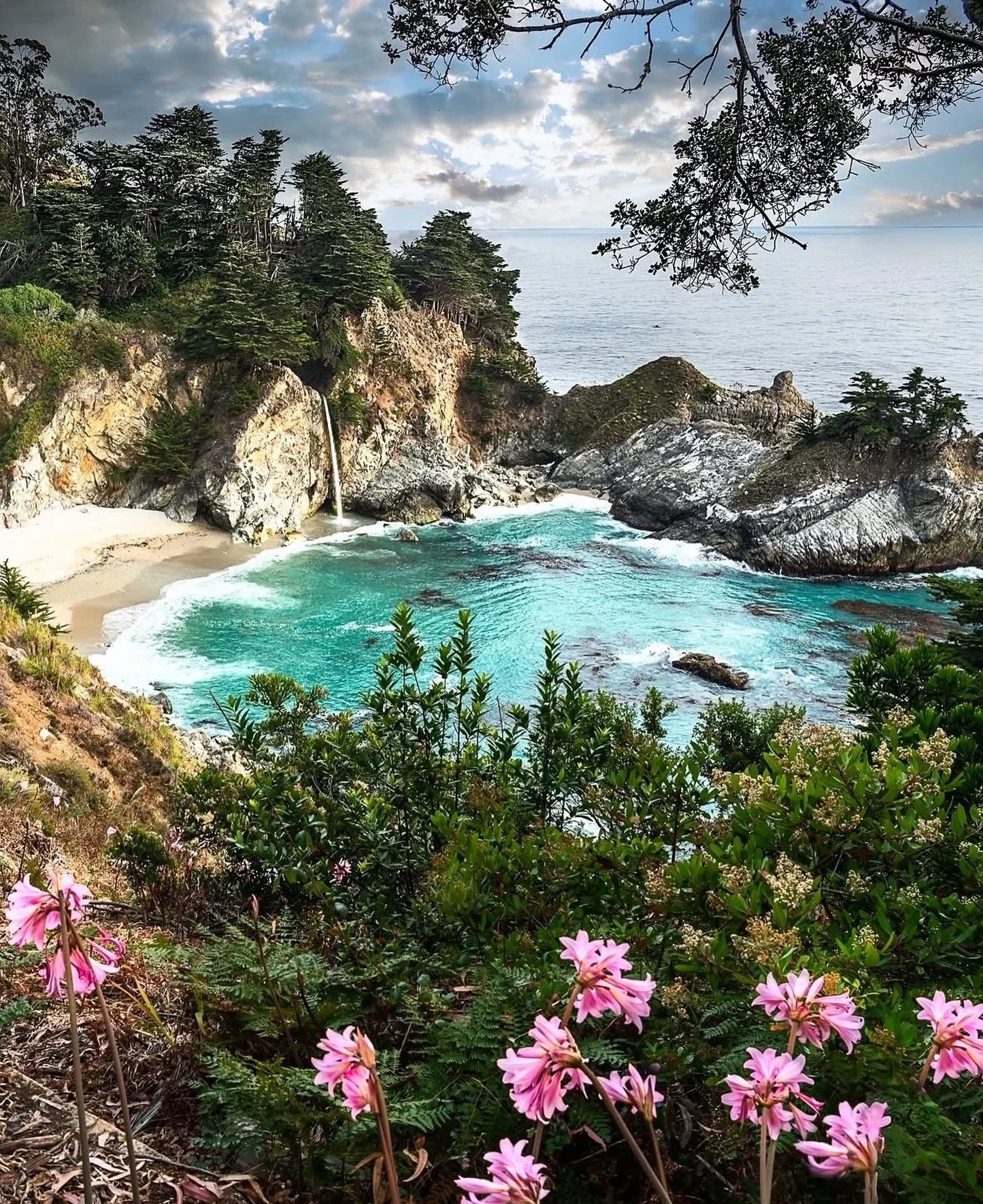 As the smoke begins to clear and Big Sur begins to breathe a little easier, we want to take a moment to say thank you. 🌲

📸 @tomkingsford 

To the firefighters, first responders, volunteers, local businesses, neighbors, and everyone who came togeth