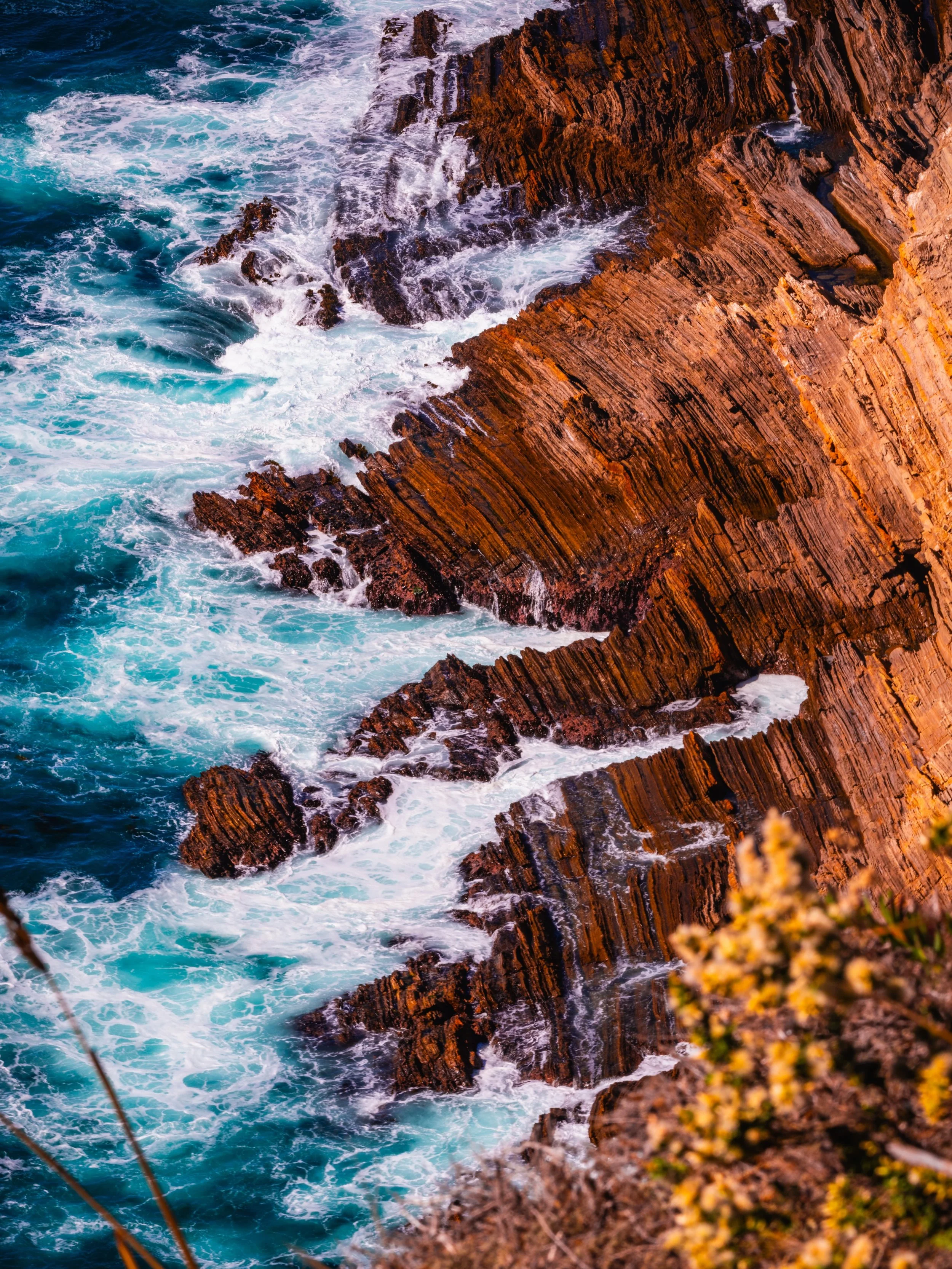 🍫 Gateway to Big Sur | Discovering @thexocolatlgarden in Carmel-by-the-Sea! 🌲🌊

Come with me as we discover one of the sweetest hidden gems in Carmel-by-the-Sea! 🍫✨

Before heading down the breathtaking coastline into Big Sur, we&rsquo;re making 