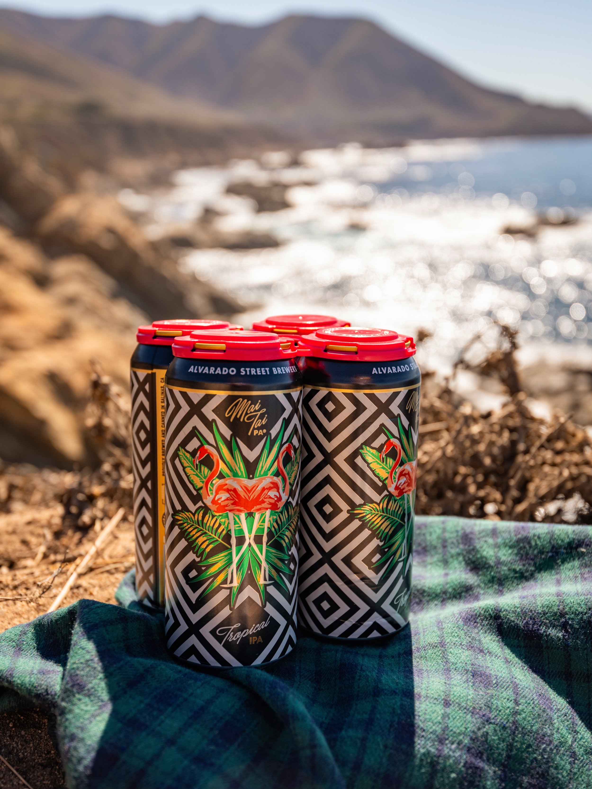 🍻🌲 Gateway to Big Sur | @alvaradostreetbrewery 

Before heading down the coast into Big Sur, there&rsquo;s one stop every beer lover should make and it&rsquo;s @alvaradostreetbrewery ! 🍺

Known for the freshest beers in California, laid-back vibe,