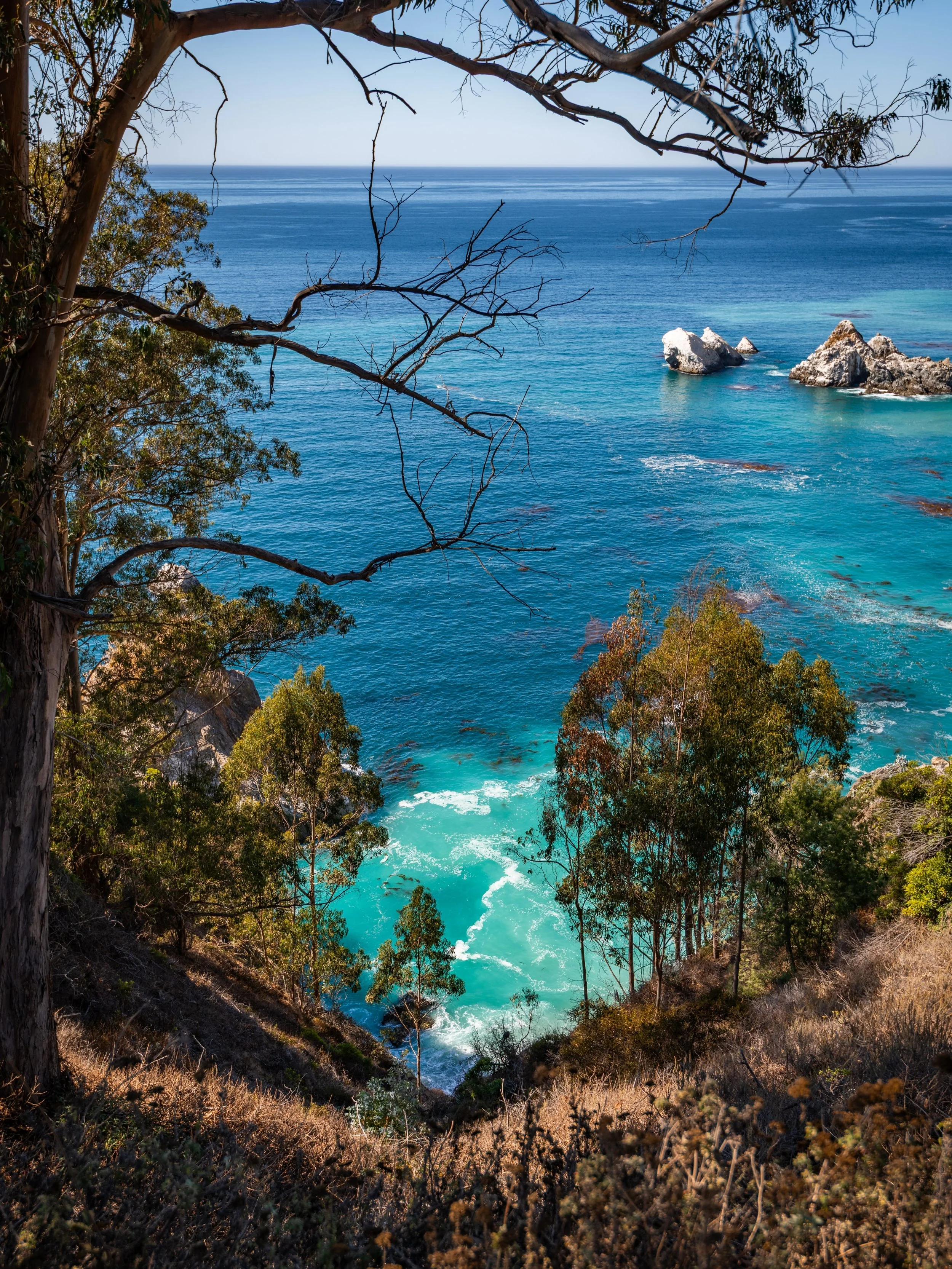 🌊☀️ Gateway to Big Sur | @elbistrobythesea 🥐☕

Every great Big Sur adventure deserves a delicious start! Nestled in the charming coastal village of Carmel-by-the-Sea, @elbistrobythesea is one of our favorite breakfast spots before heading south alo
