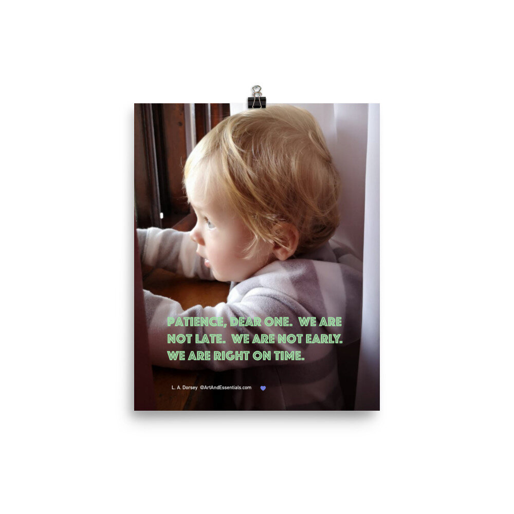 enhanced-matte-paper-poster-(in)-8x10-transparent-602493d631c53.jpg
