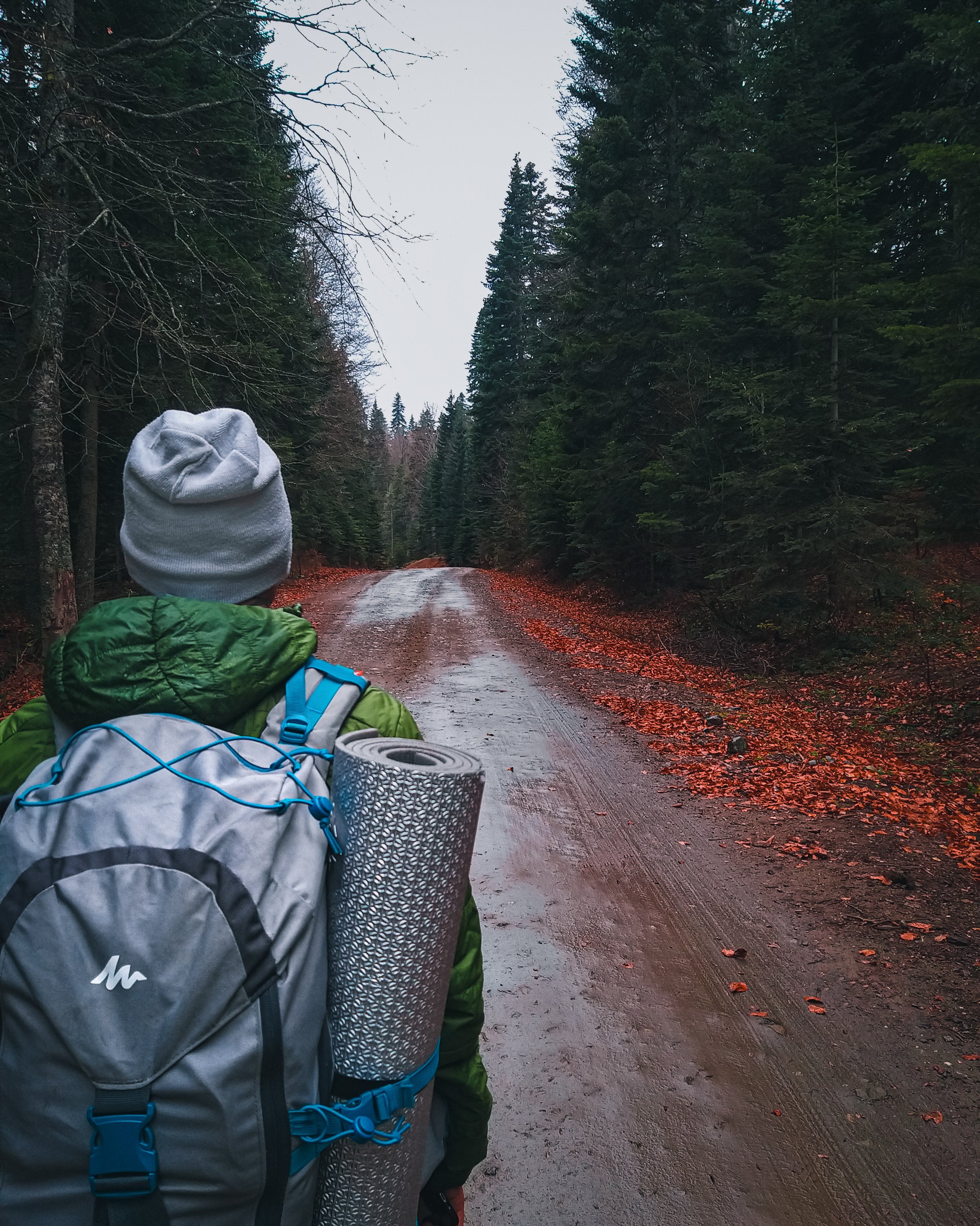 pexels-ertuÄrul-tez-9920883.jpg