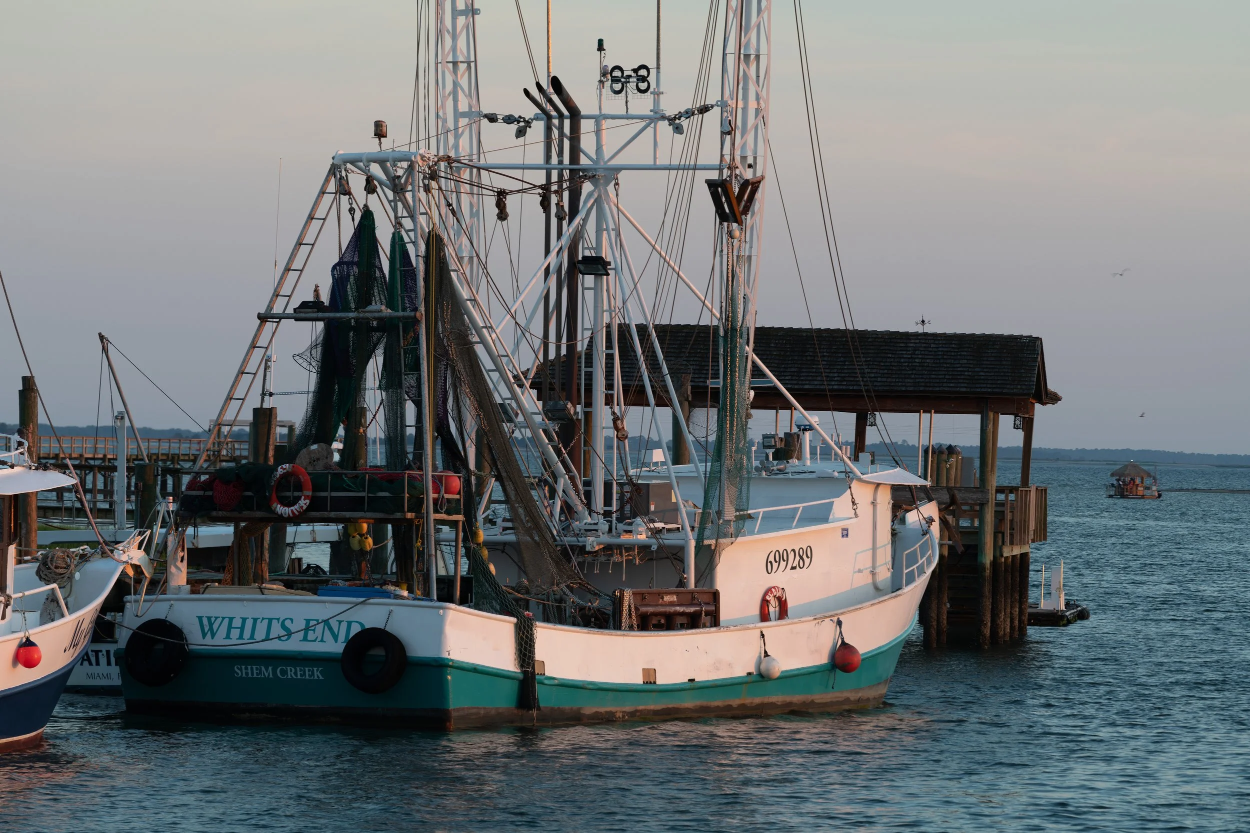 DSC_8735.jpg