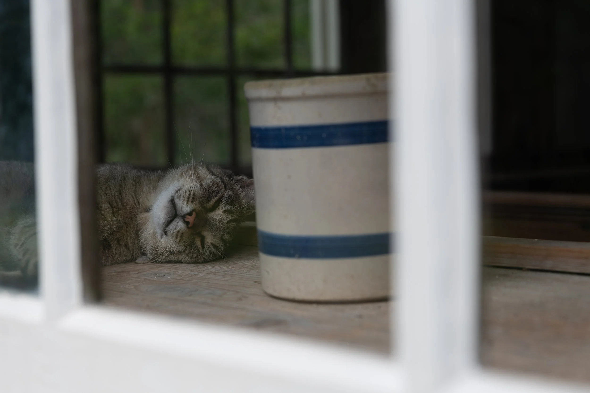 DSC_7352.jpg